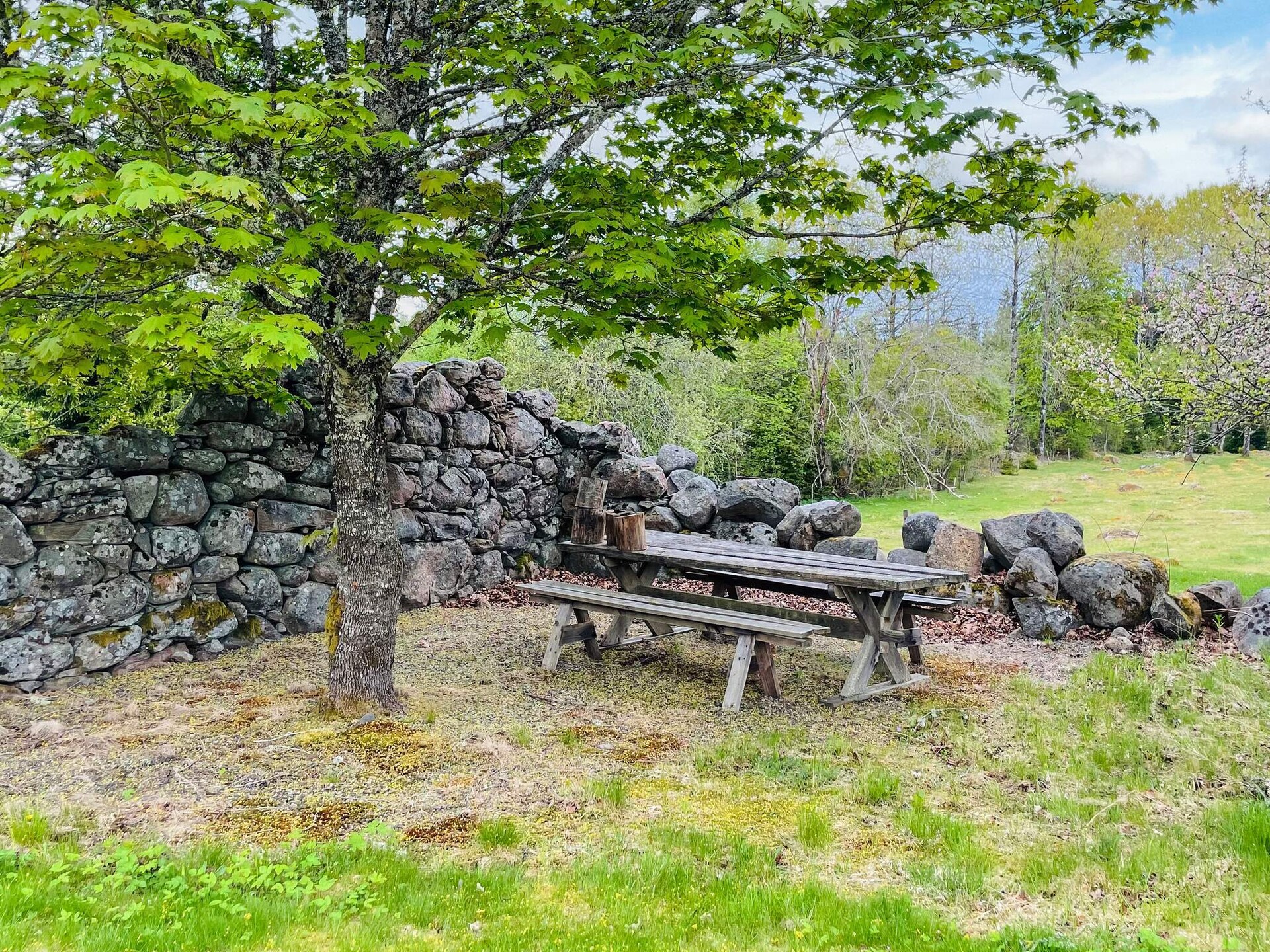 Vrijstaand vakantiehuis aan de golfbaan in de bossen van Småland - foto 7