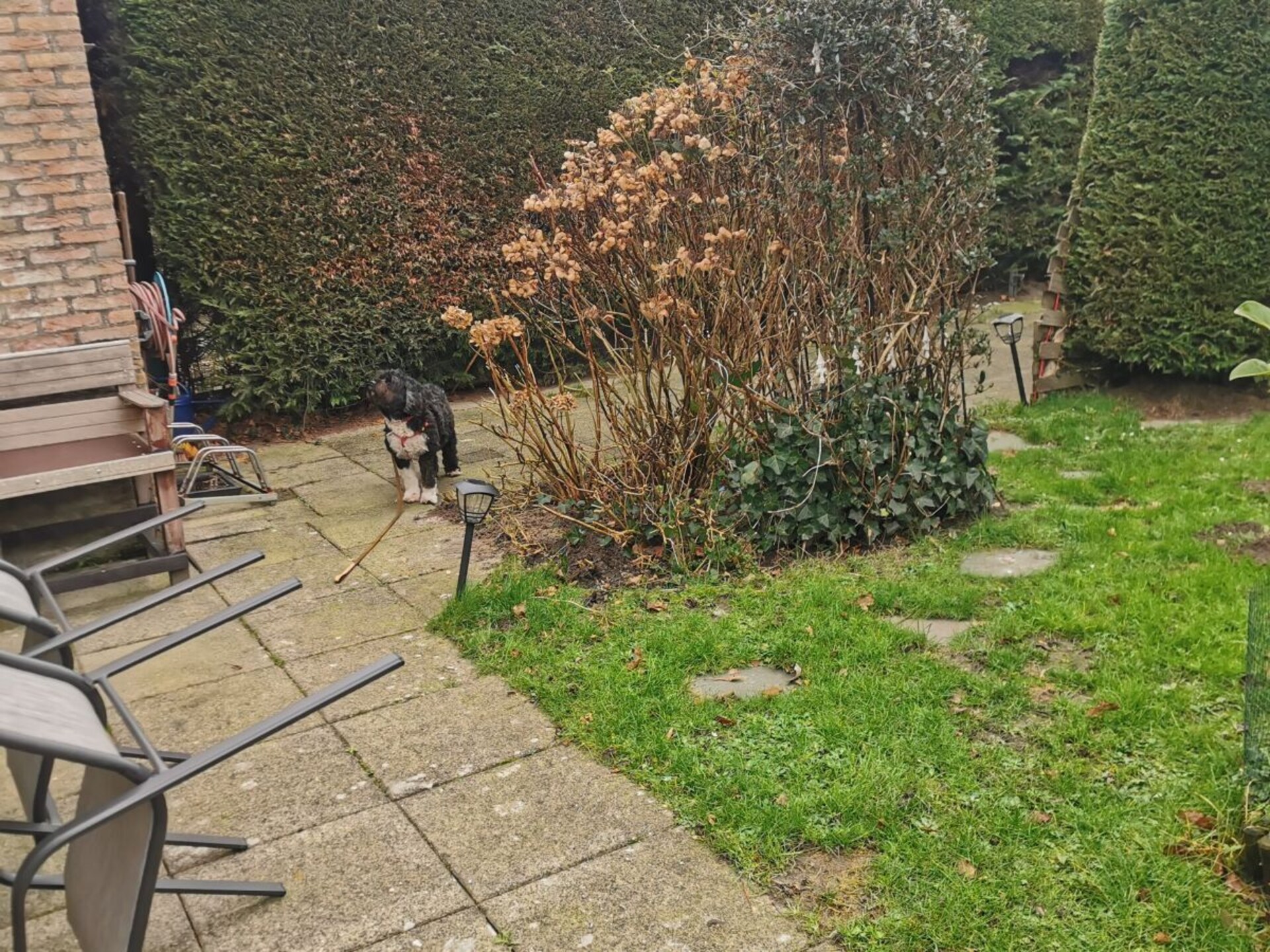 Zonnig vakantiehuis met grote tuin bij het Grevelingenmeer in Brouwershaven - foto 26