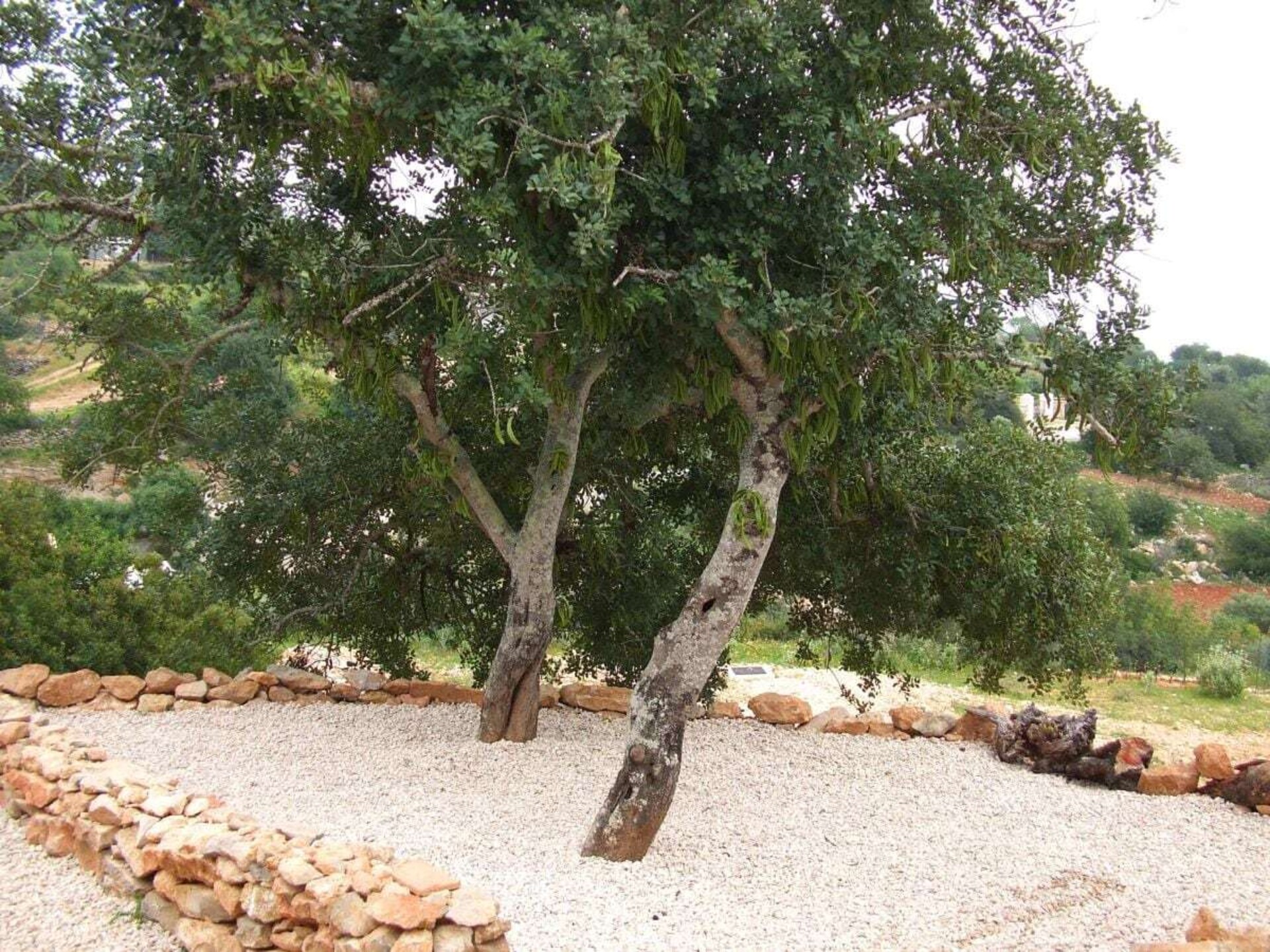 Casa do Esquilo: Romantische villa met oceaanzicht en zwembad nabij Faro - foto 5