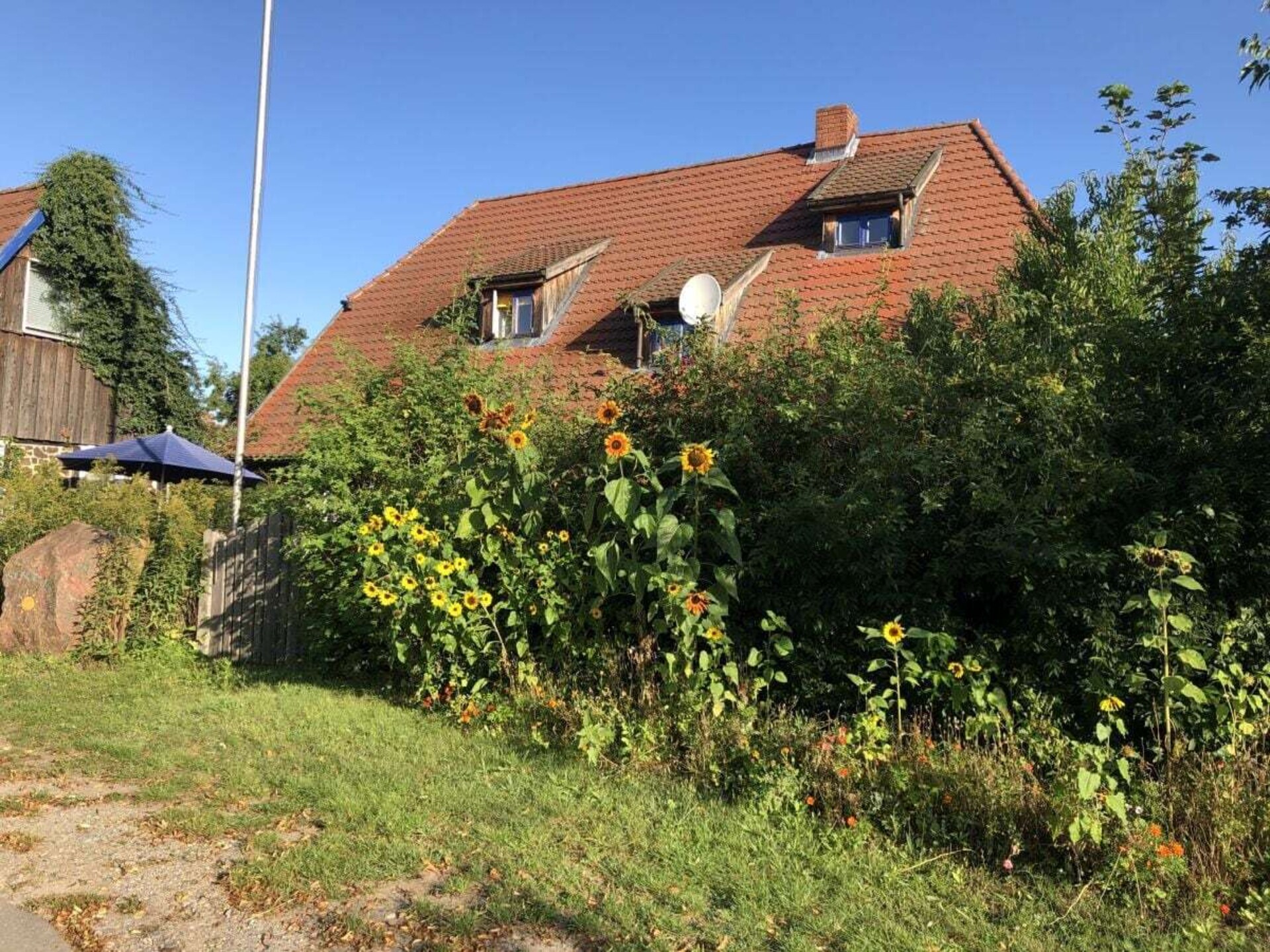 Ecologisch vakantiehuis op historische boerderij nabij Hitzacker - foto 6