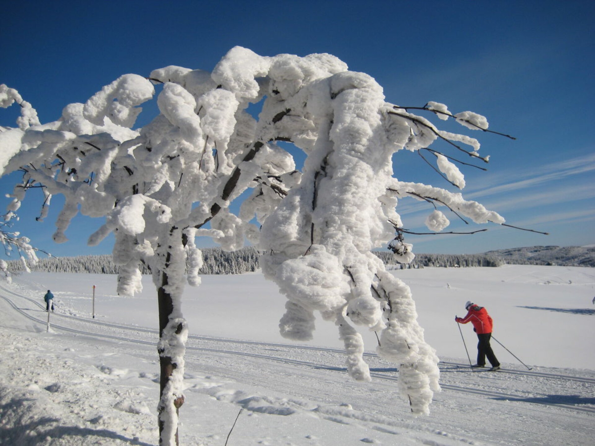 Knus appartement in Oberwiesenthal, 100m van de piste - foto 29