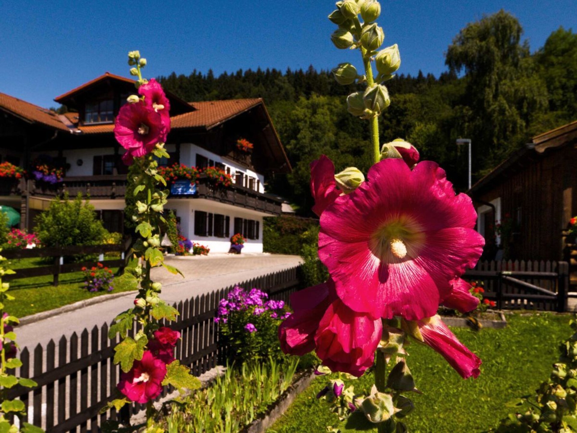 Zonnig appartement in Hopfen am See – 79m², voor 3 personen - foto 5