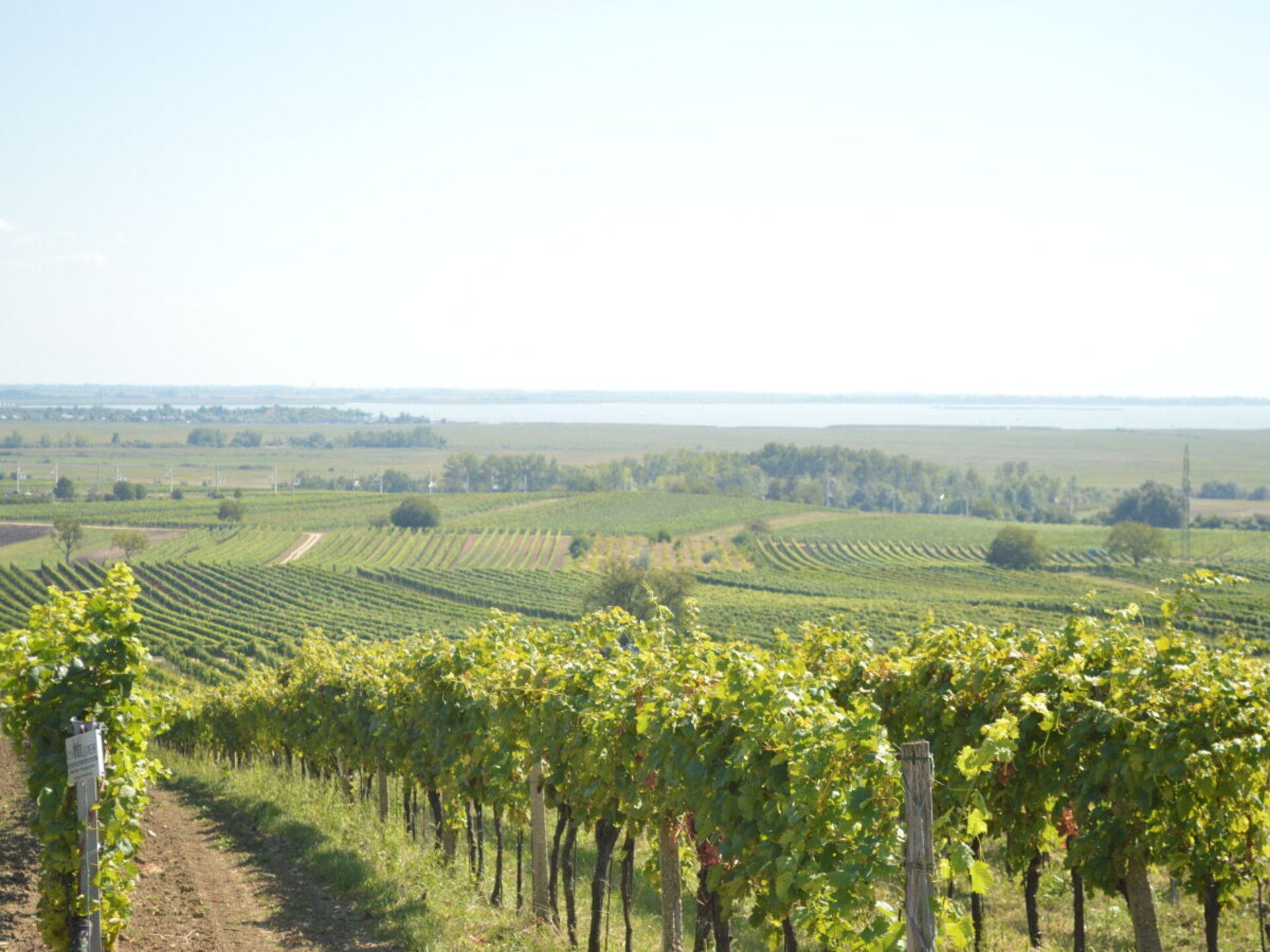 Vrijstaand vakantiehuis met panoramisch uitzicht en tuin in Mönchhof, Burgenland - foto 26