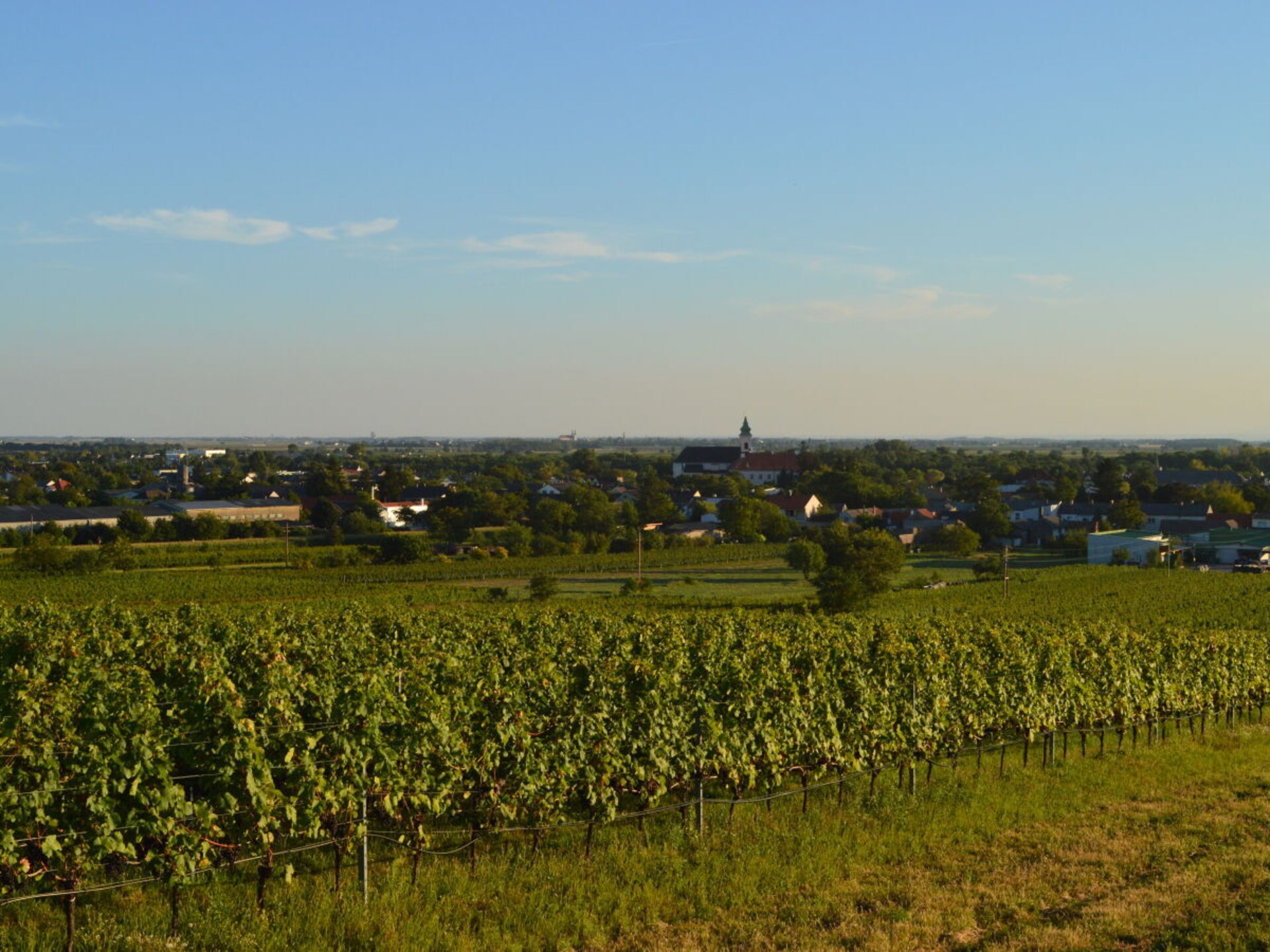 Vrijstaand vakantiehuis met panoramisch uitzicht en tuin in Mönchhof, Burgenland - foto 27