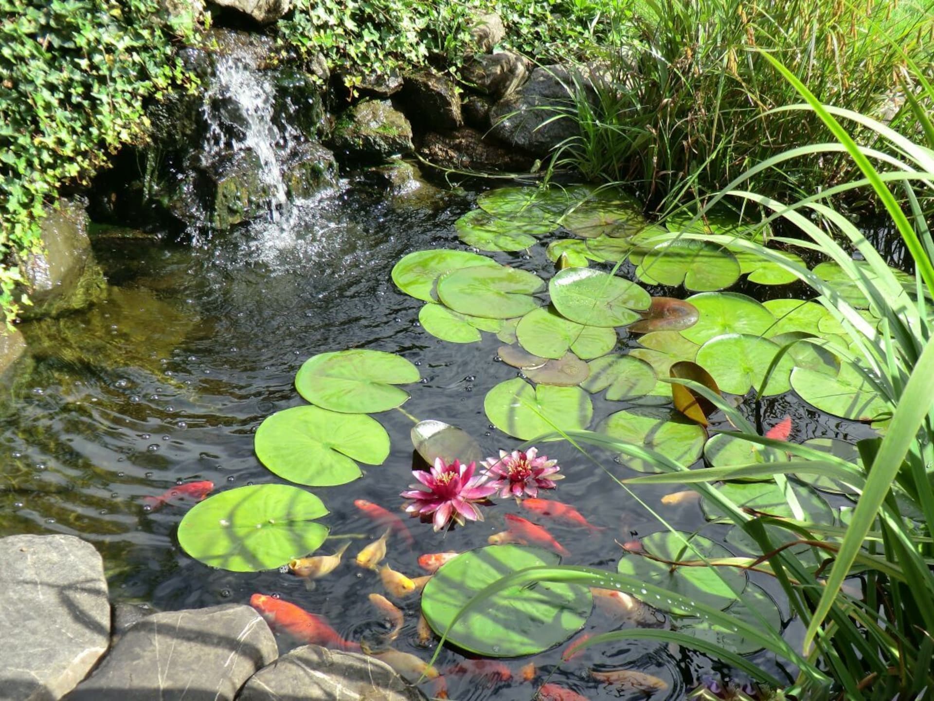 Aan de piste: Ruim vakantiehuis in het centrum van Fischen - foto 3