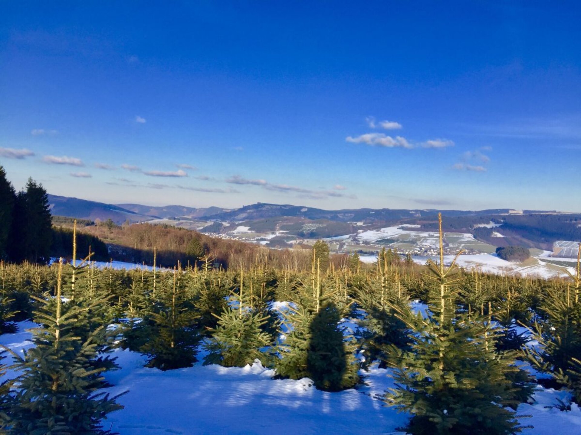 Luxe 20-persoons vakantiehuis met wellness in Olsberg, Sauerland - foto 28