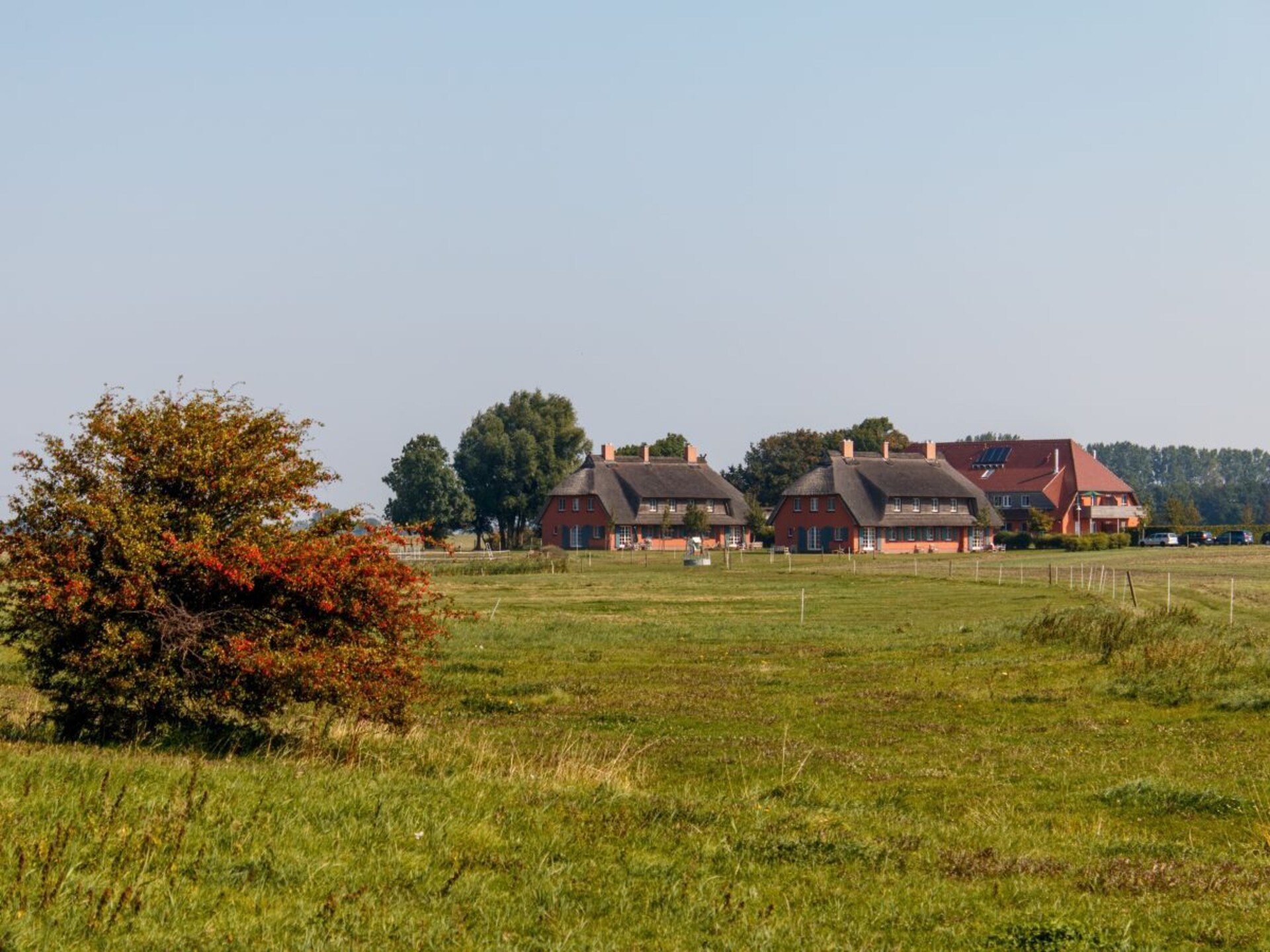 Knusse boerderijsuite voor 2 op Ummanz, omringd door water - foto 4