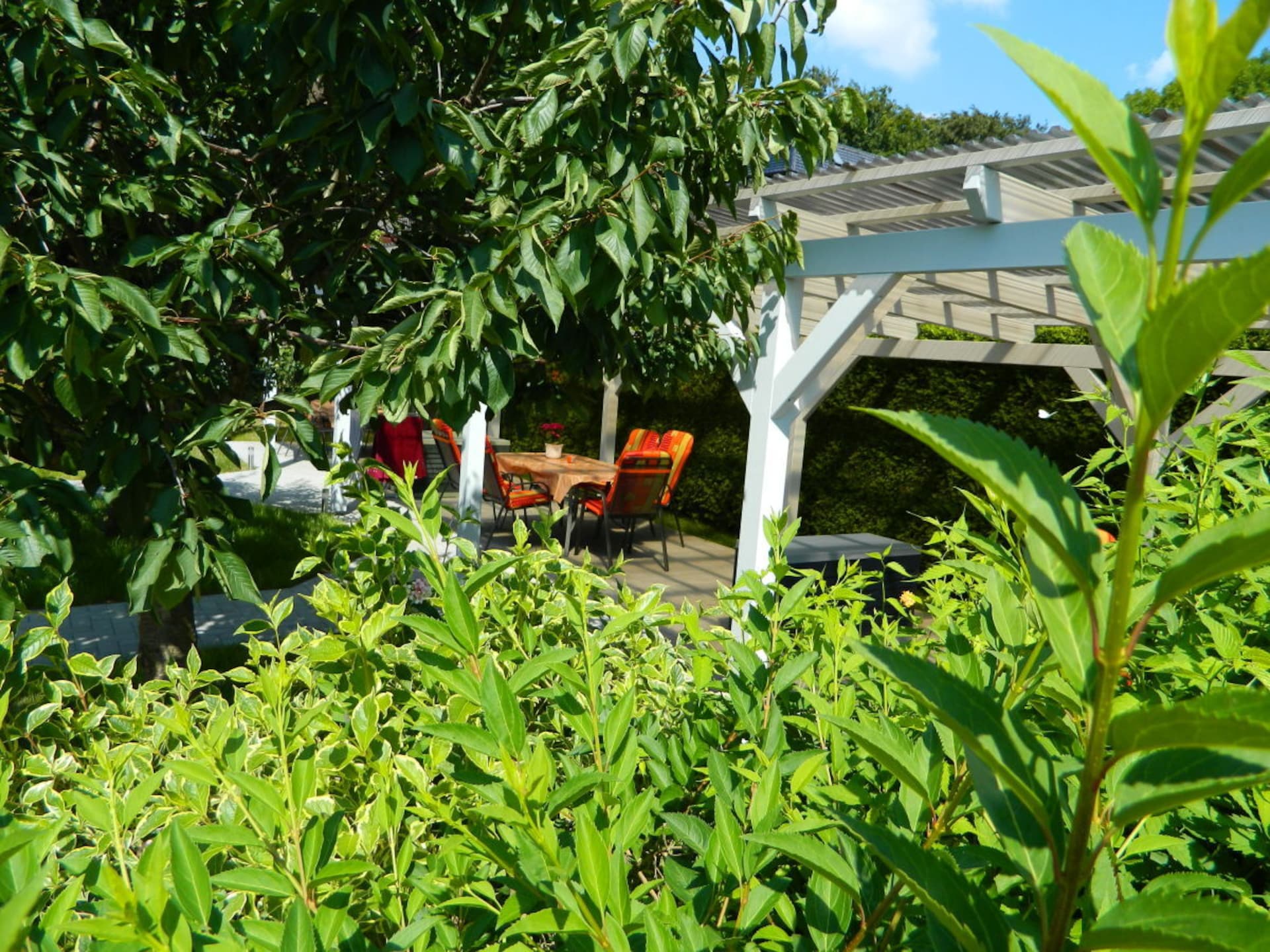 Ruim vakantiehuis voor 5 personen in Röbel/Müritz · 60 m² - foto 5