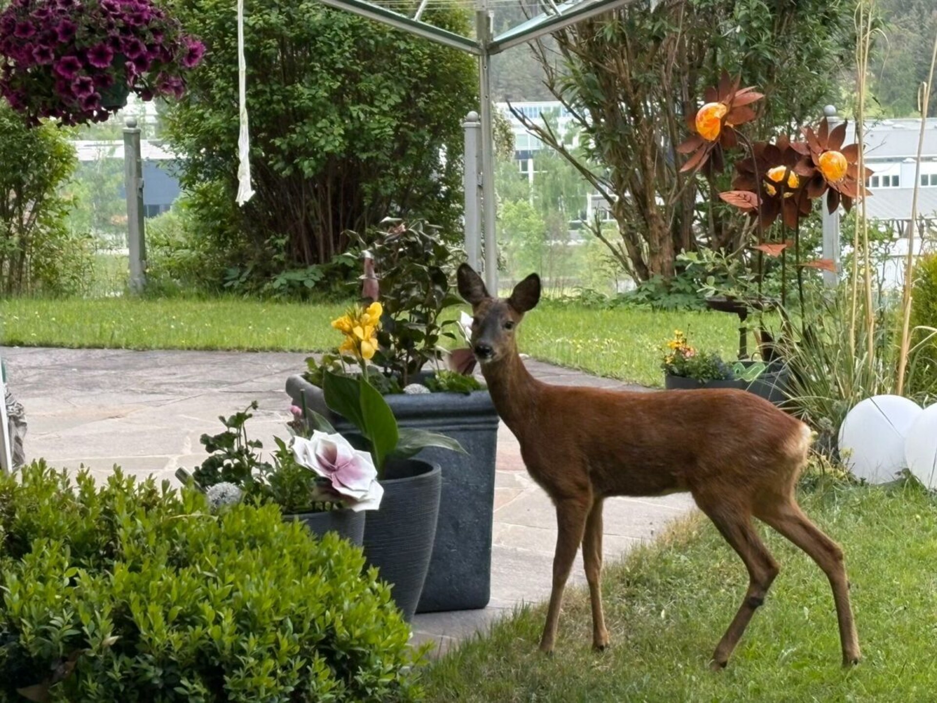Zonnig vakantiehuis met bergzicht en tuin in A-Höfen, vlakbij skilift - foto 8