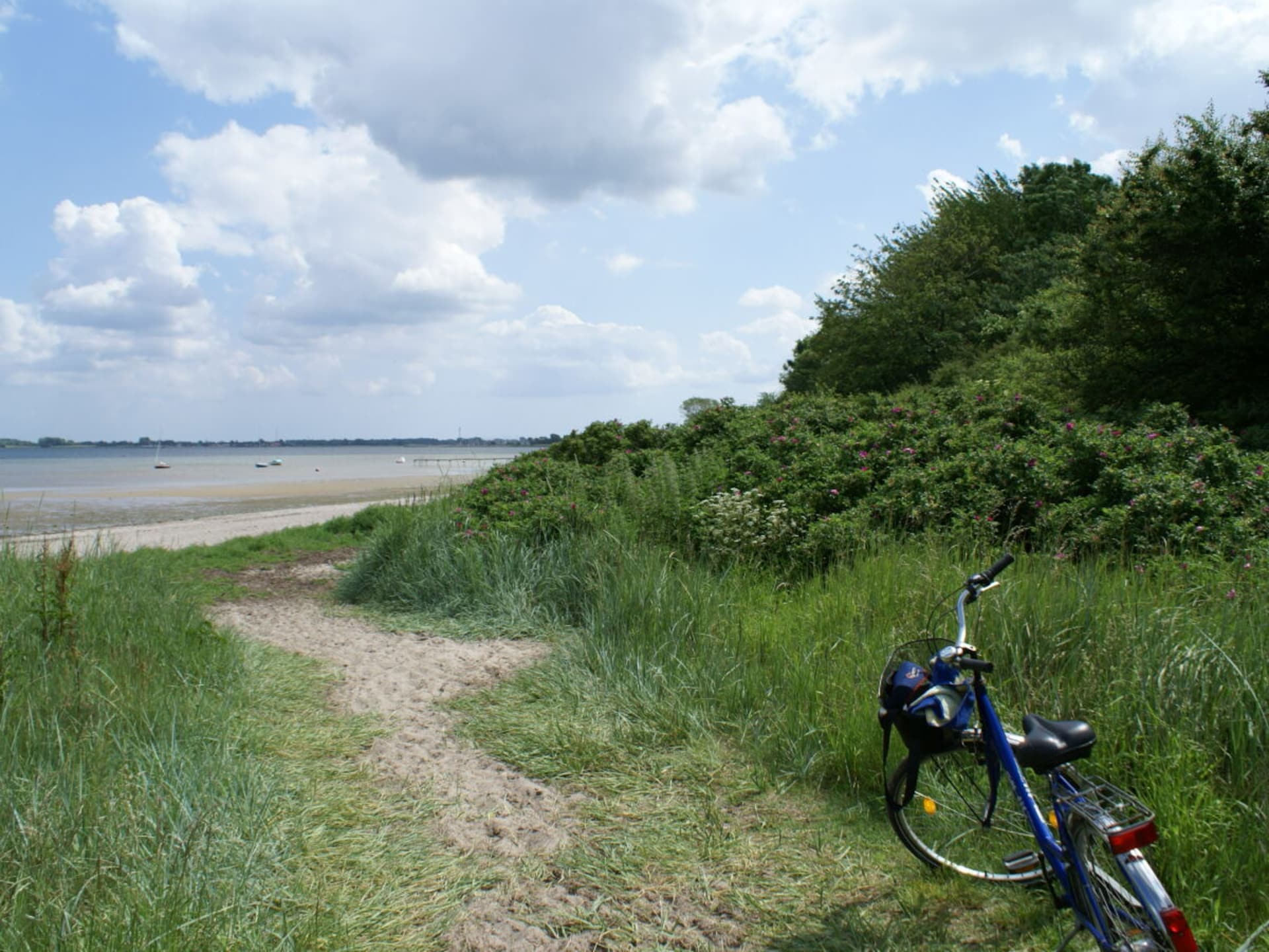 Licht vakantiehuis in Steinberg met uitzicht op de molenvijver · 4 pers. - foto 15