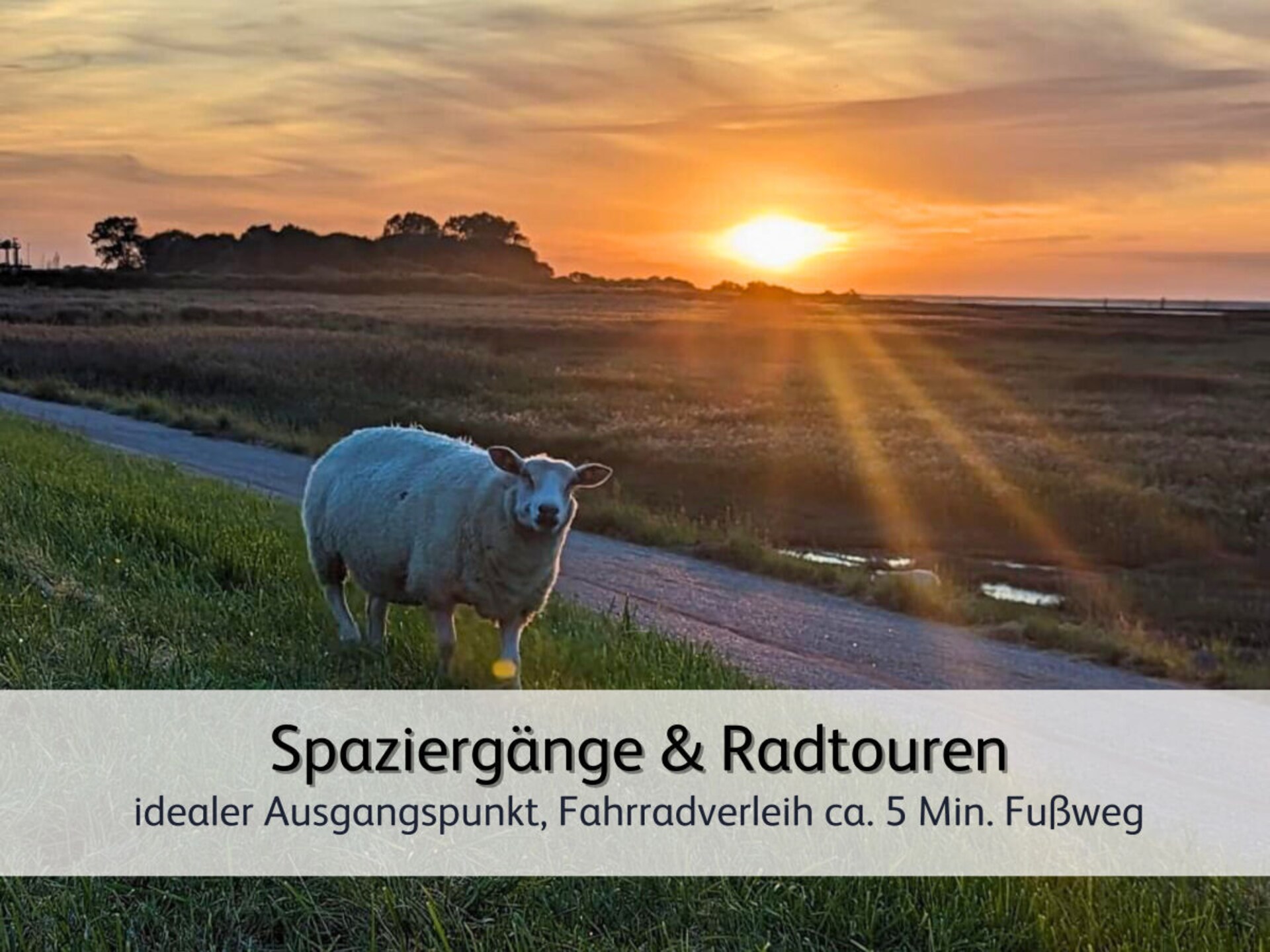 Stijlvol gerenoveerd vakantiehuis voor 5 personen in Bensersiel, op 800m van centrum - foto 33