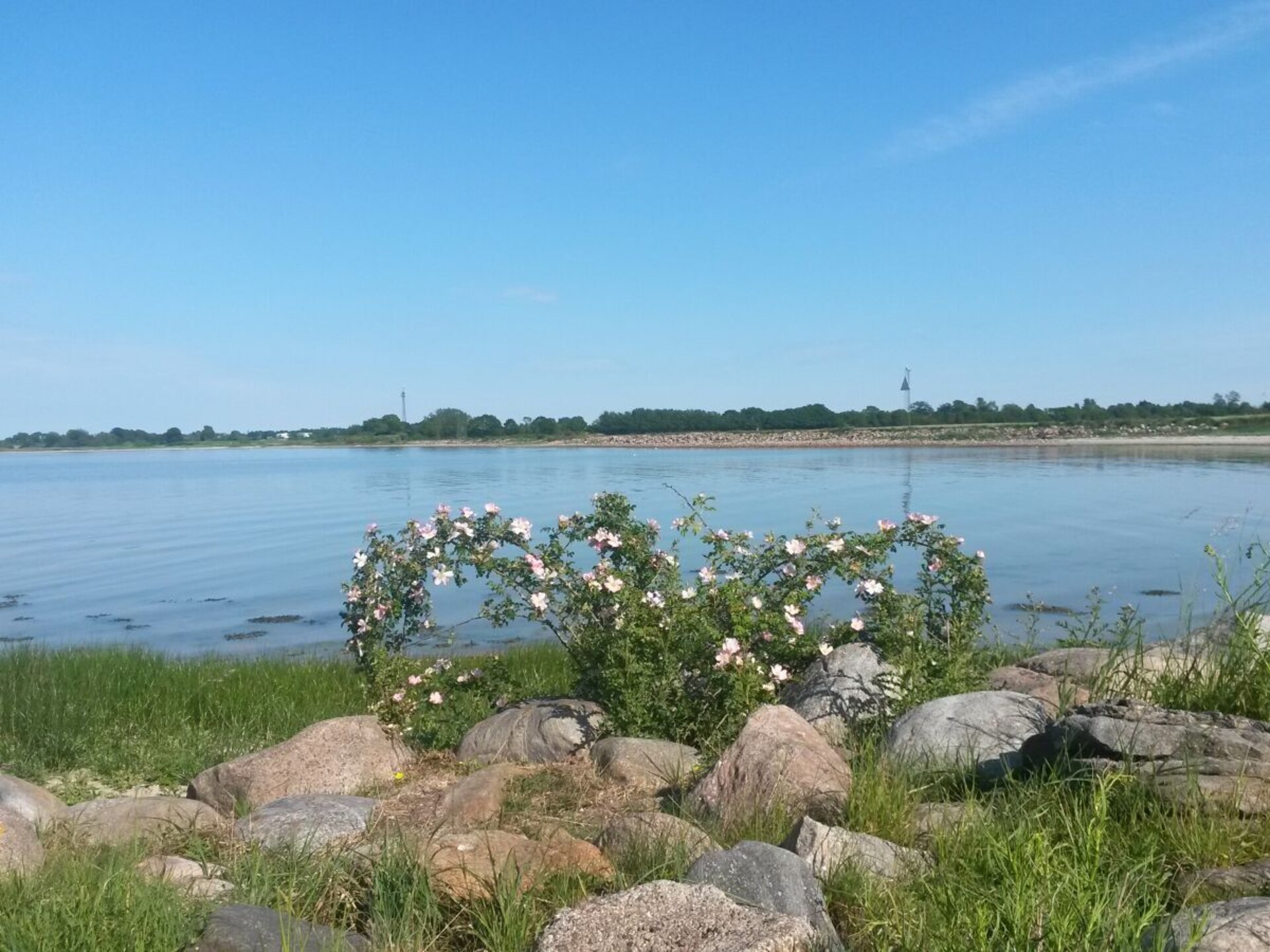 Ruim 6-persoons vakantiehuis met bos & weide, nabij Oostzee - foto 32