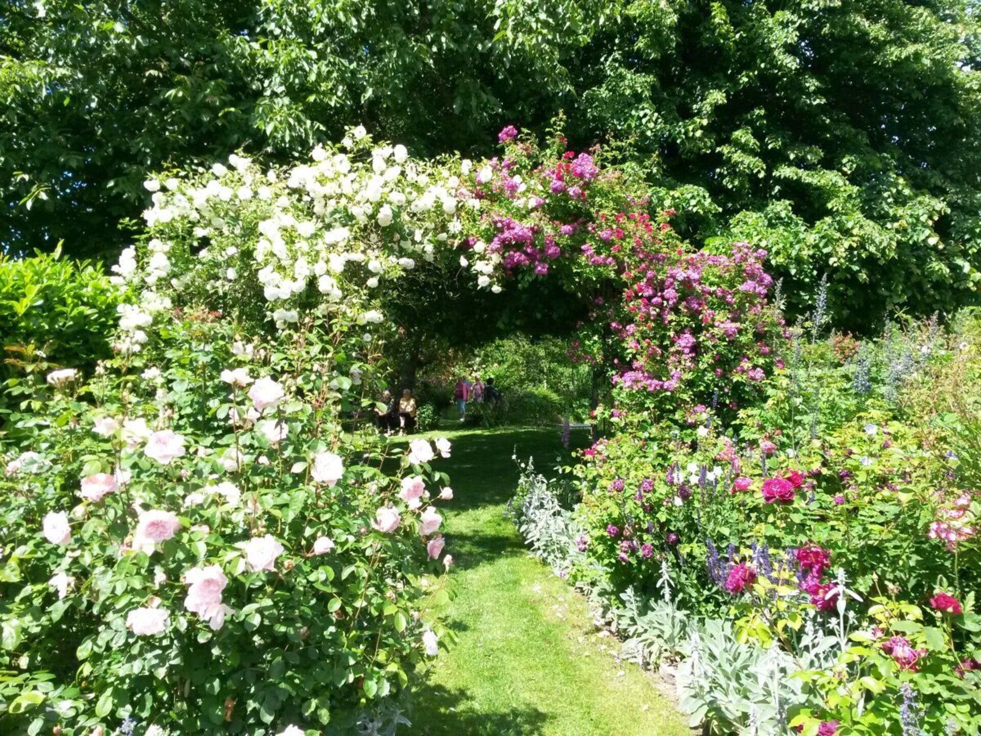 Ruim 6-persoons vakantiehuis met bos & weide, nabij Oostzee - foto 35