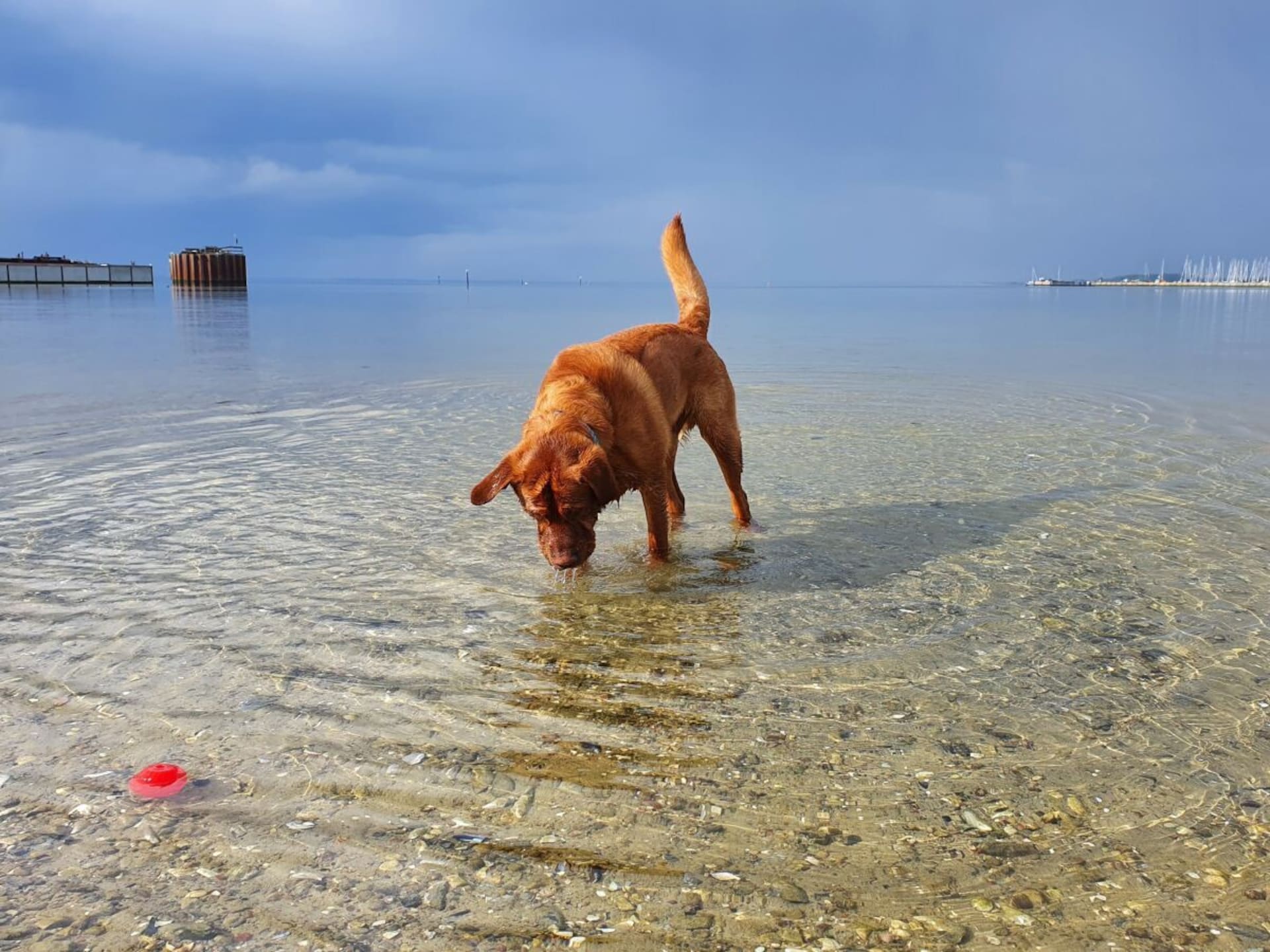 Knus vakantiehuis Kastanjeboom voor 2 bij Gelting aan de Oostzee - foto 28