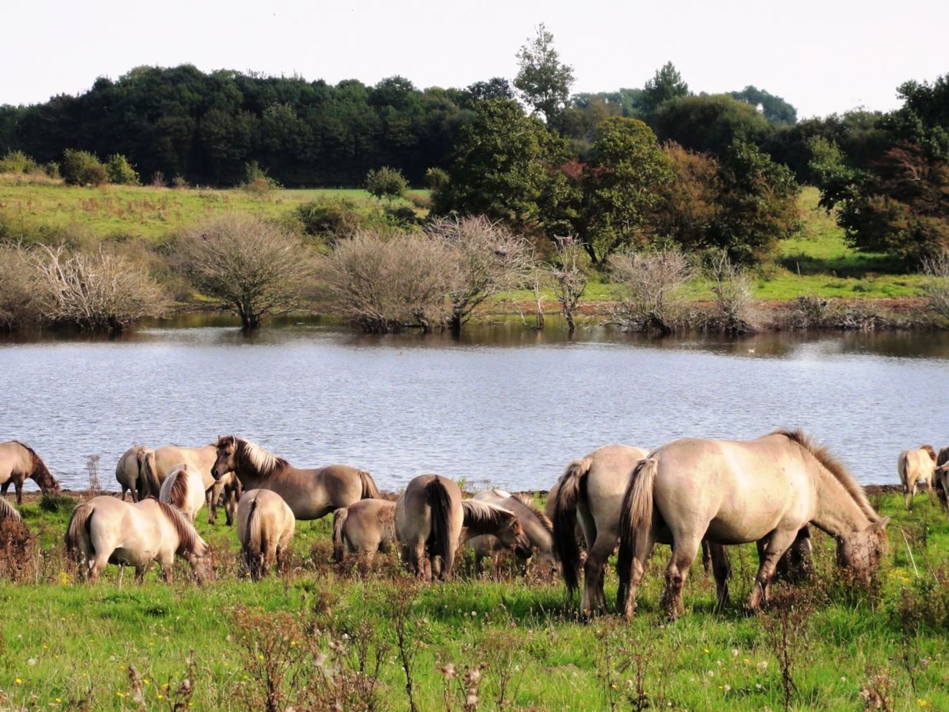 Knus vakantiehuis Kastanjeboom voor 2 bij Gelting aan de Oostzee - foto 29