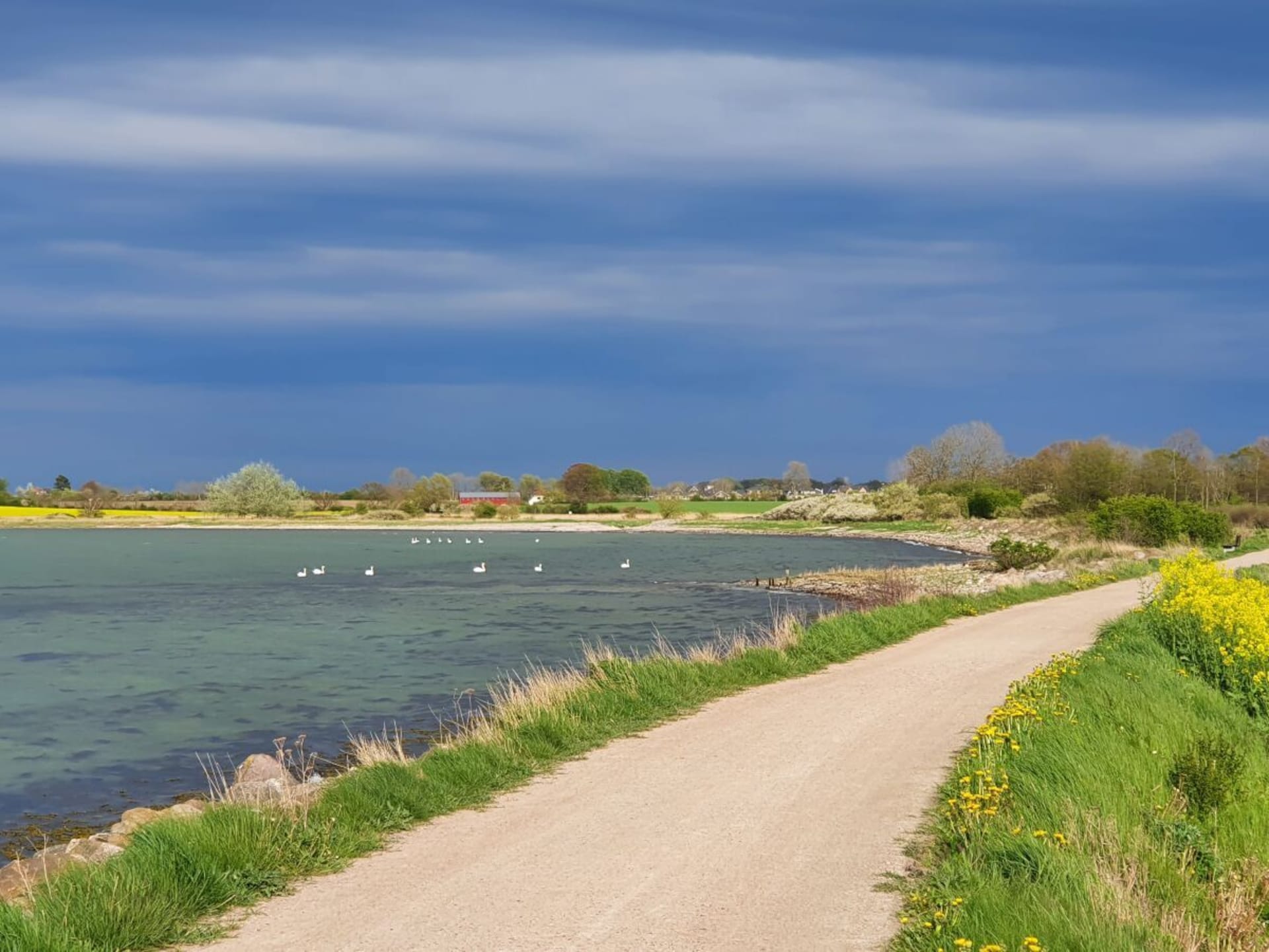 Knus vakantiehuis Kastanjeboom voor 2 bij Gelting aan de Oostzee - foto 40