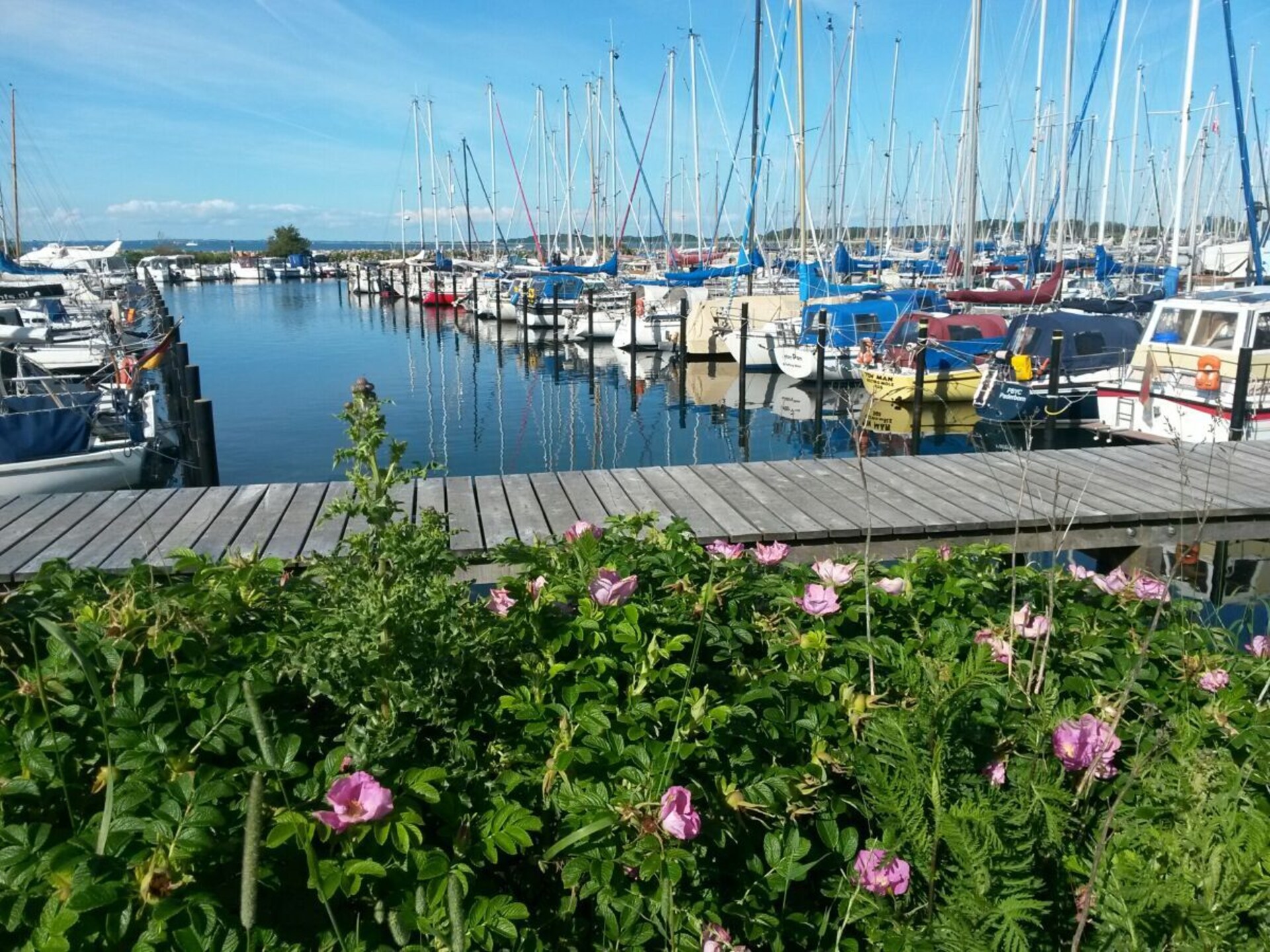 Rietgedekt vakantiehuis uit de 18e eeuw met uitzicht op de Oostzee bij Gelting - foto 39