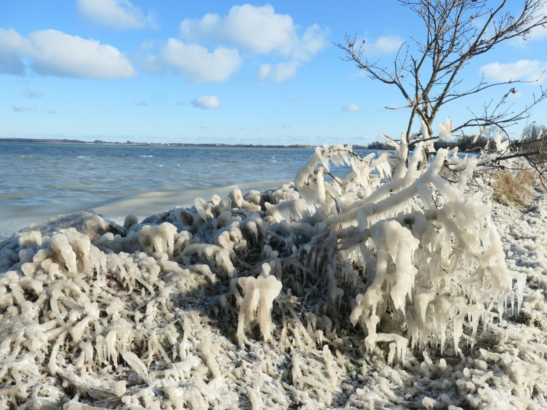 Rietgedekt vakantiehuis uit de 18e eeuw met uitzicht op de Oostzee bij Gelting - foto 40