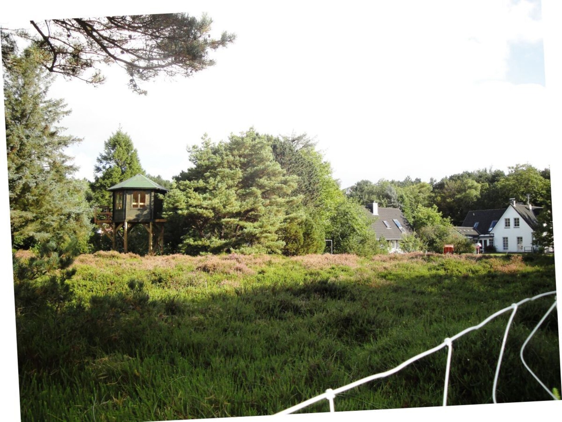 Romantische bungalow voor 3 aan de heide in Nebel met houtkachel - foto 7