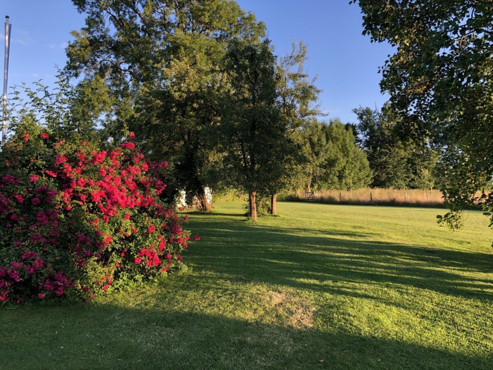 Rieten droom aan de Flensburgfjord: Historisch appartement voor 2 in Langballig - foto 15