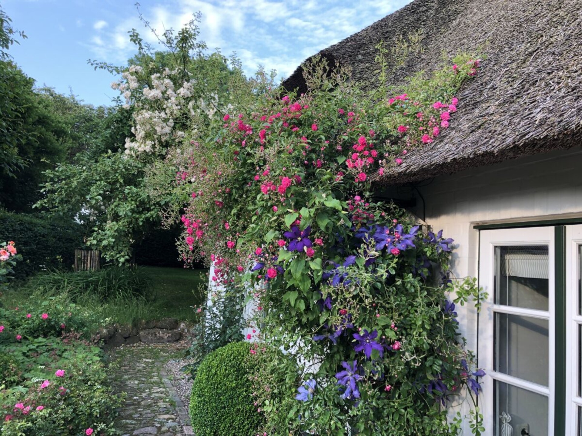 Rieten droom aan de Flensburgfjord: Historisch appartement voor 2 in Langballig - foto 16