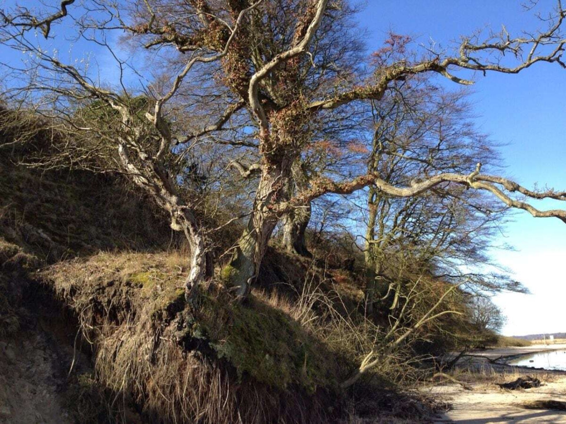Rieten droom aan de Flensburgfjord: Historisch appartement voor 2 in Langballig - foto 35
