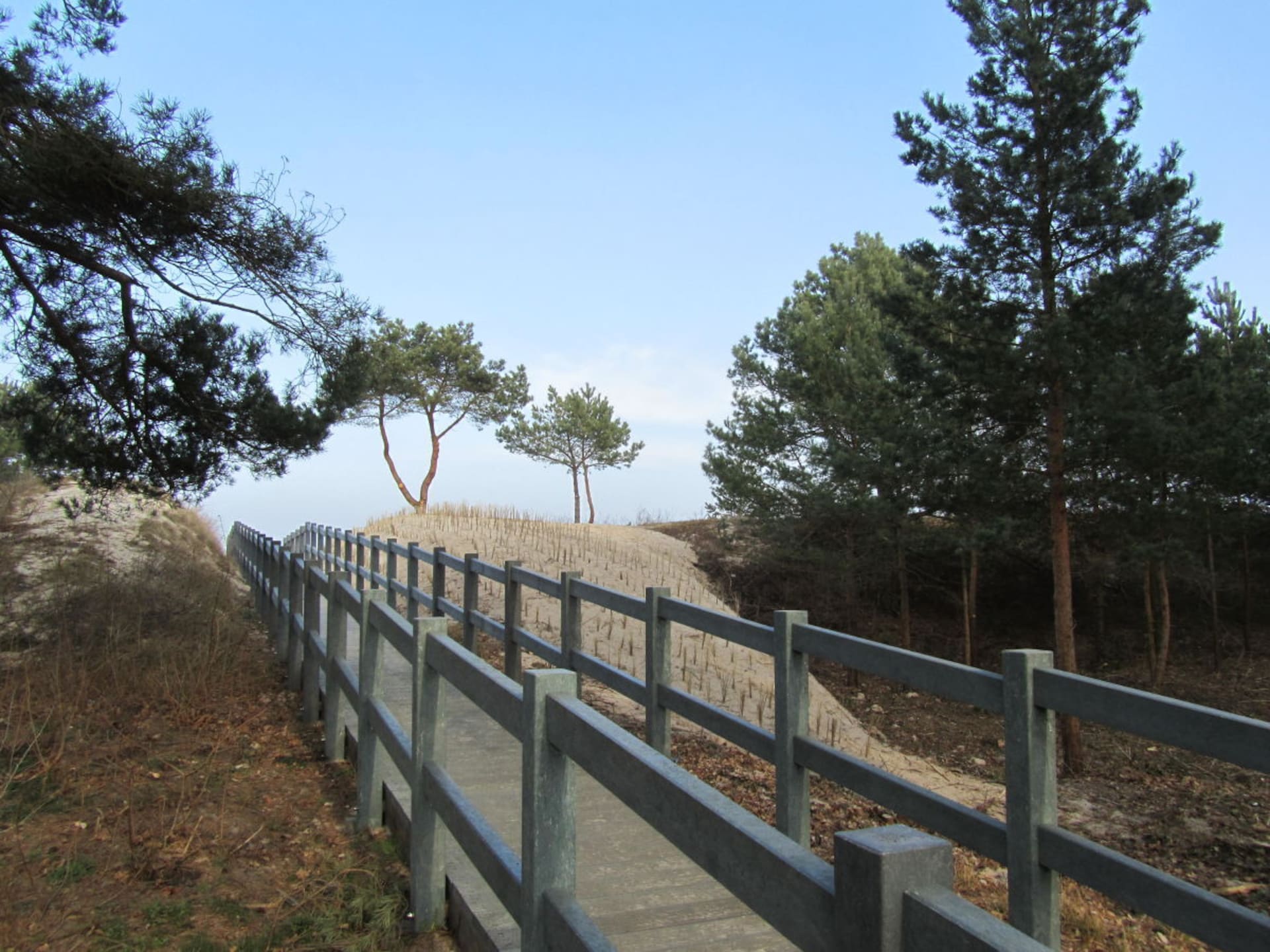 Licht vakantiehuis met sauna bij de Oostzee in Kölpinsee - foto 22