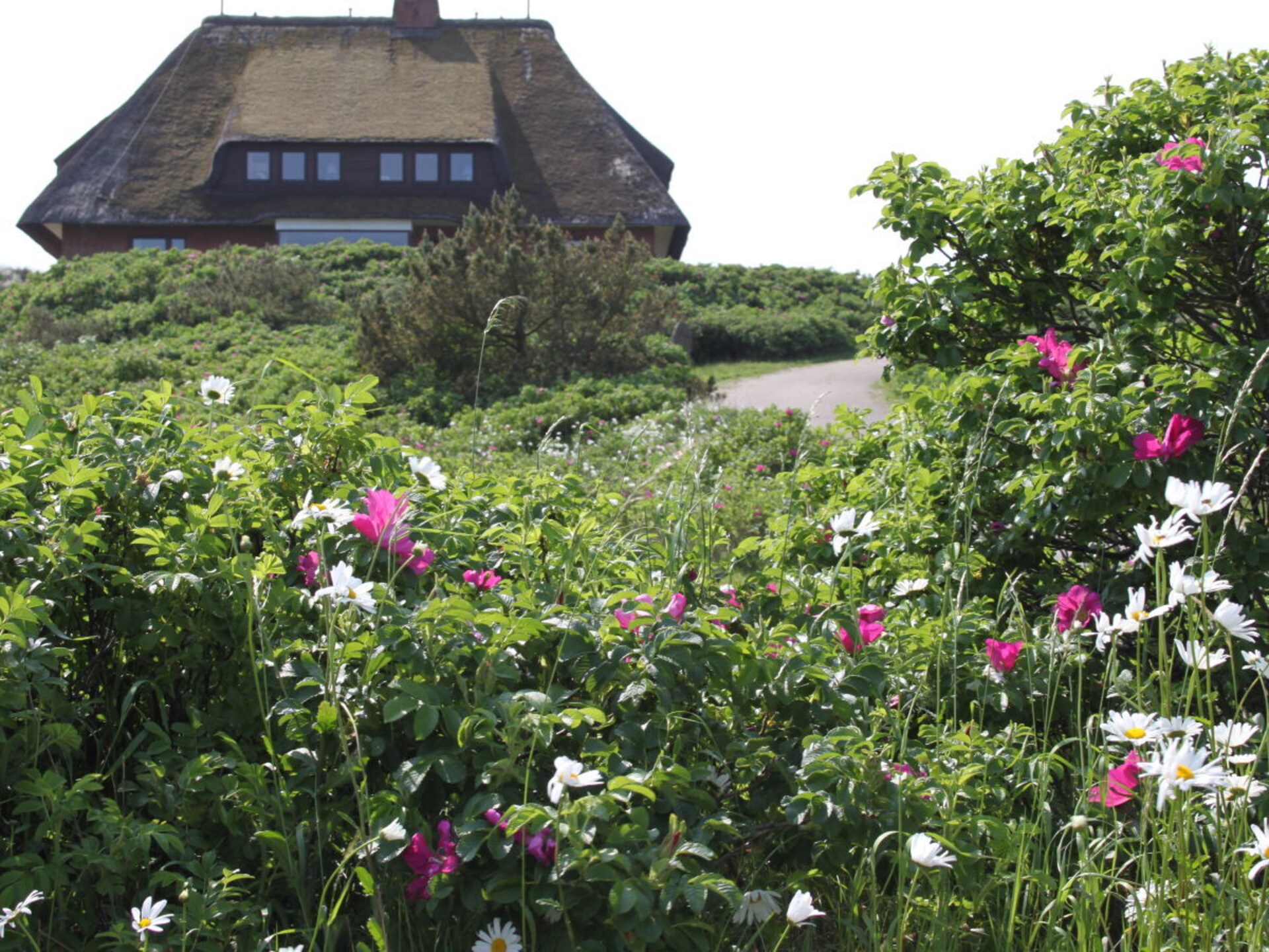 Op 1,0 km van het centrum: Ruim vakantiehuis in Rantum op Sylt - foto 5