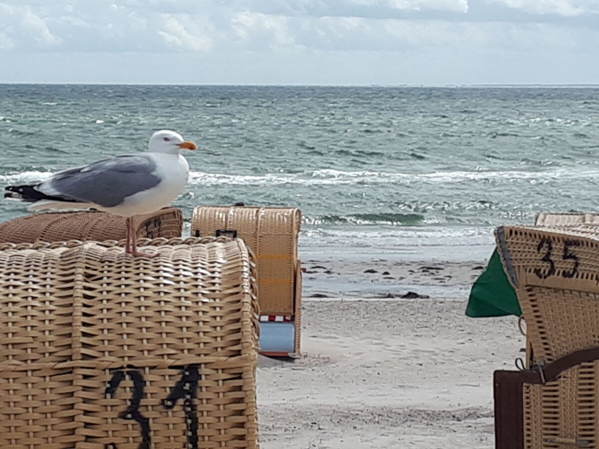 Appartement Fehmarn Südstrand met zeezicht, direct aan de Oostzee - foto 21