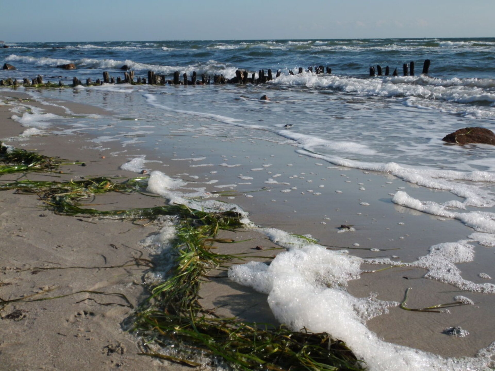 Appartement Fehmarn Südstrand met zeezicht, direct aan de Oostzee - foto 24