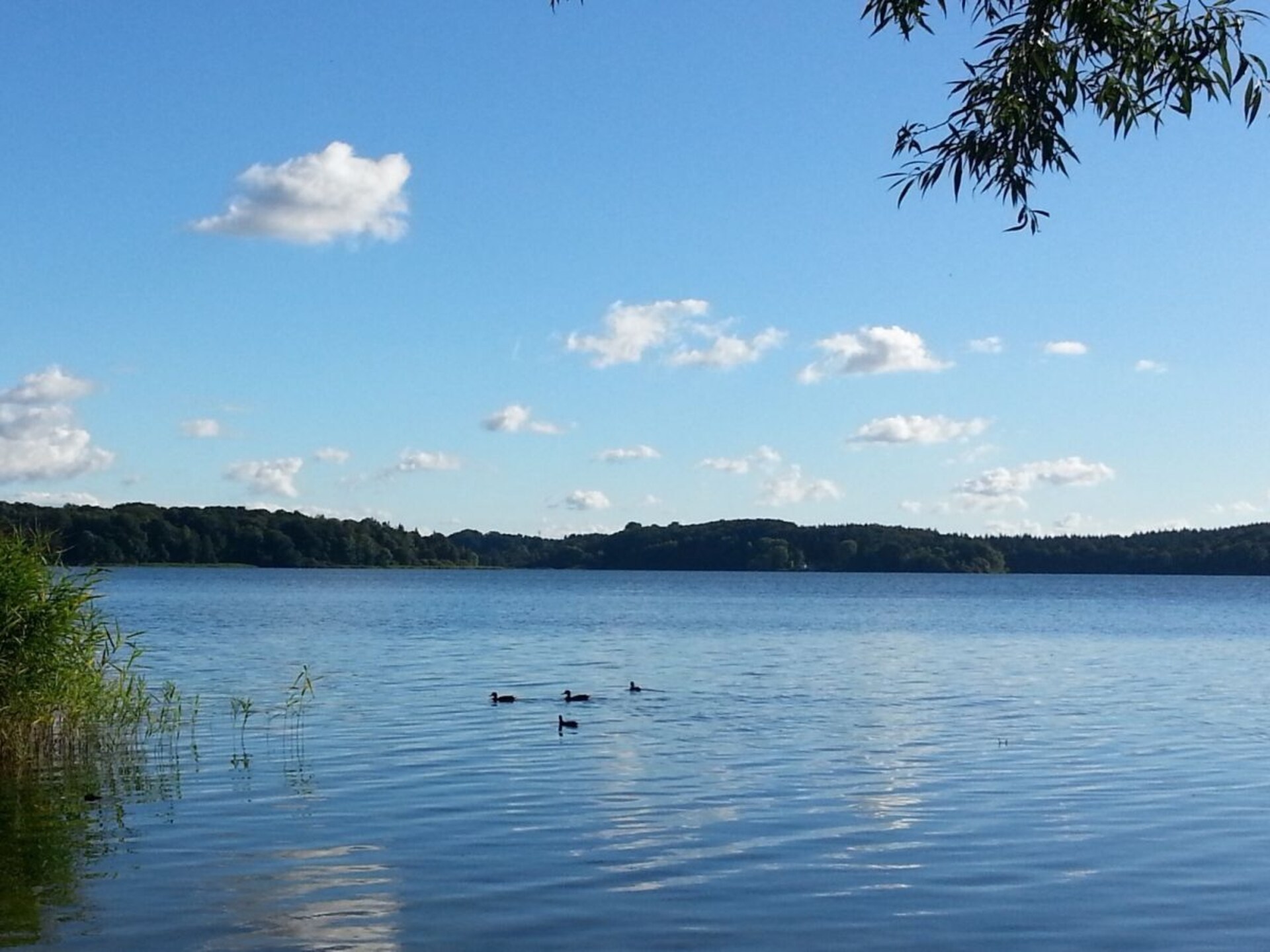 Appartement aan de Kellersee met terras en weids uitzicht op het water - foto 11