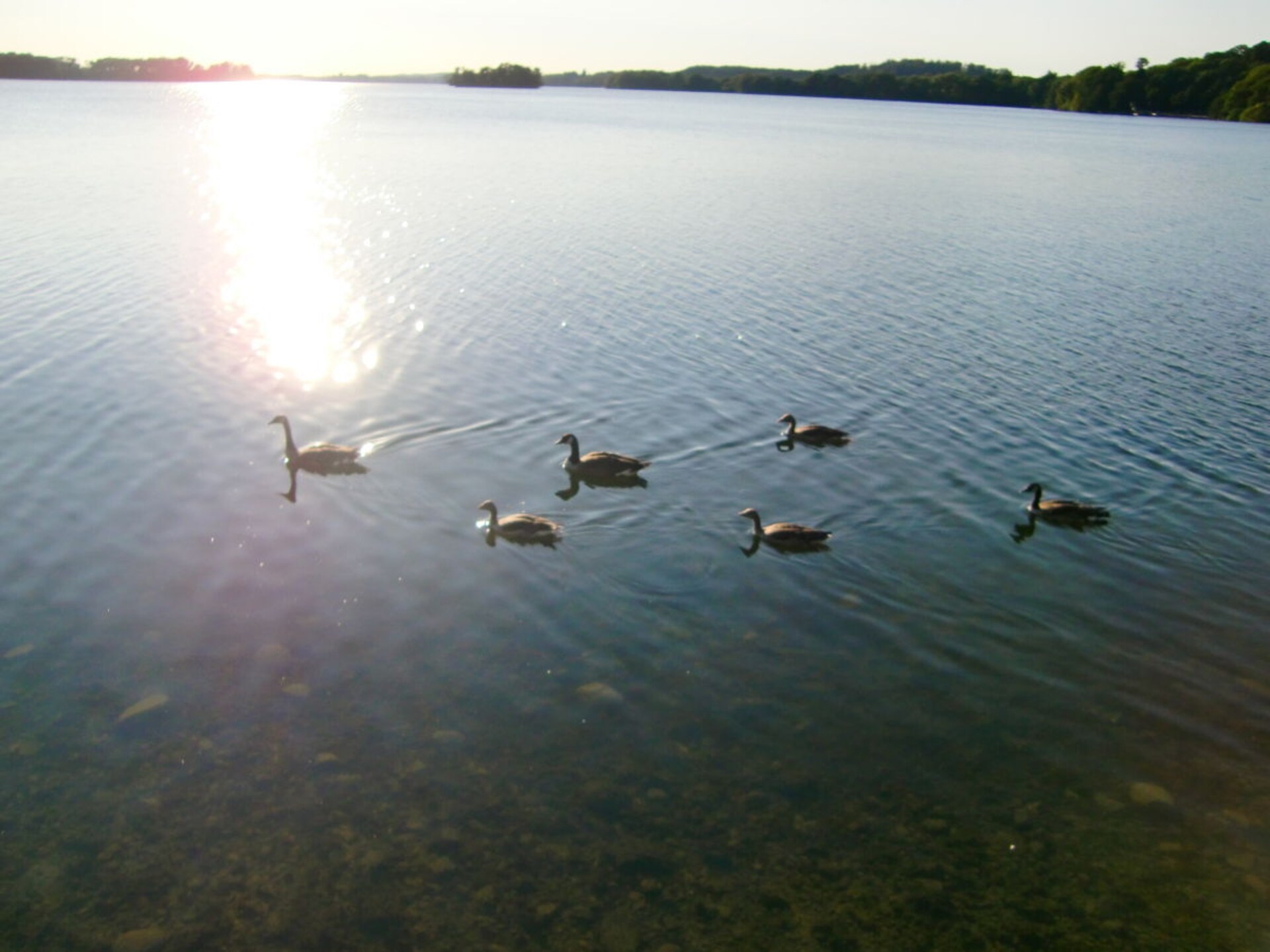 Appartement aan de Kellersee met terras en weids uitzicht op het water - foto 12