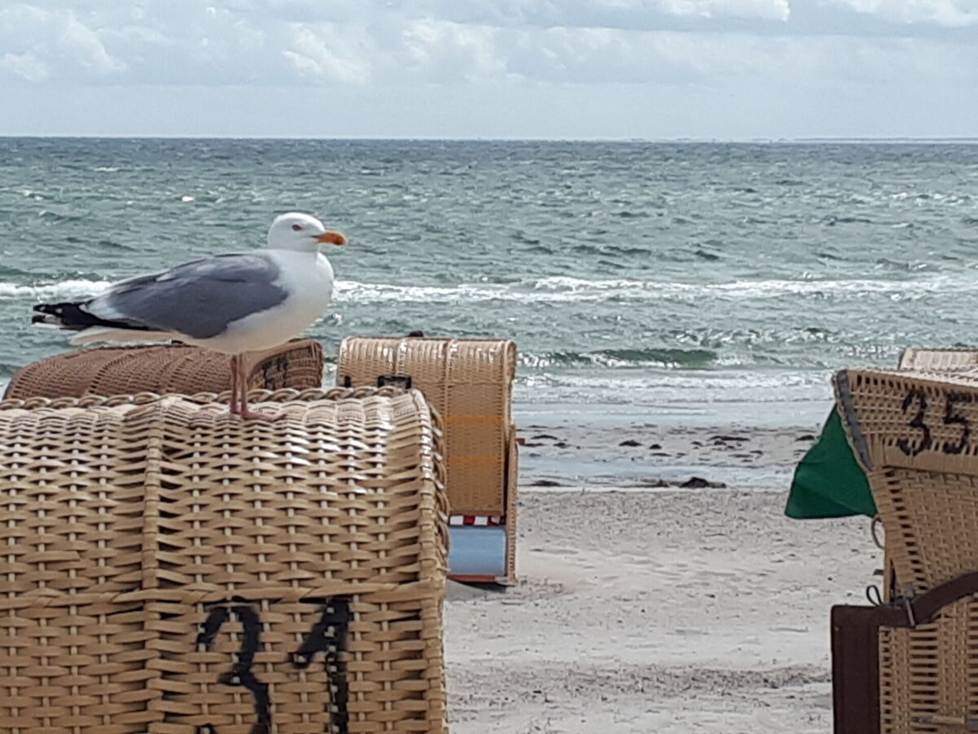 Zonovergoten appartement op Fehmarn met weids uitzicht over de Oostzee - foto 42
