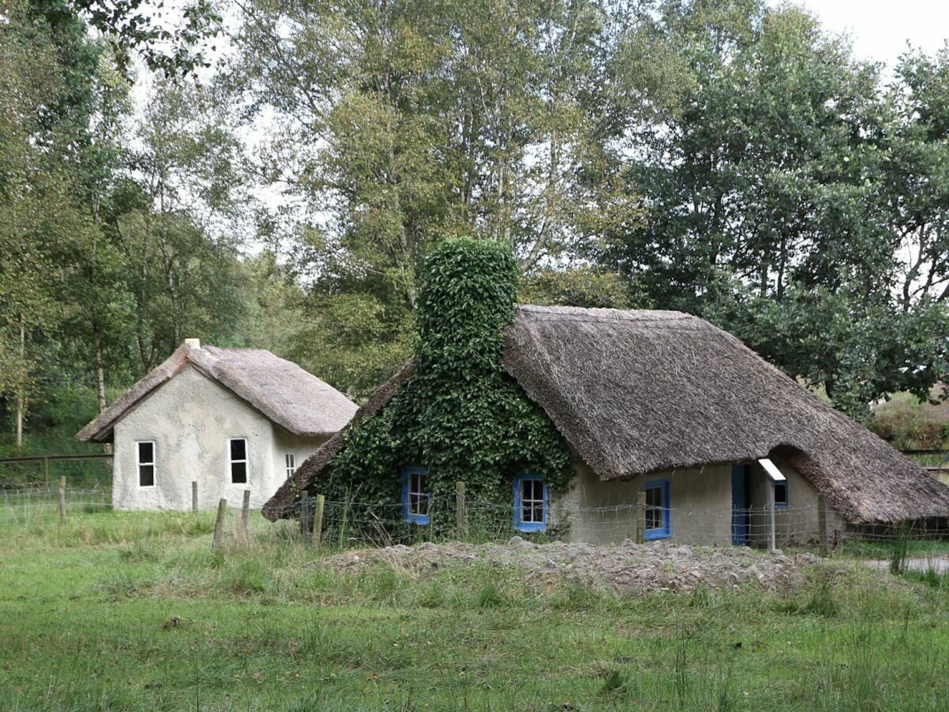 Ruim vakantiehuis in Esens voor 5 personen met terras - foto 35