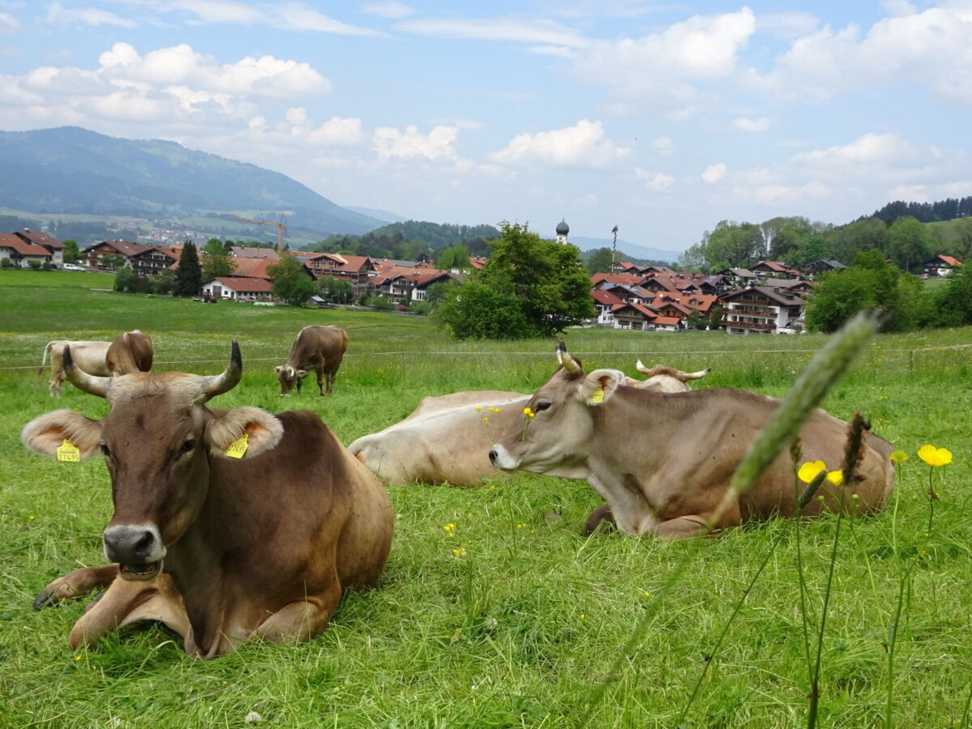 Zonnig appartement Sonnenkopf met groot terras en alpenpanorama in Oberstdorf - foto 16
