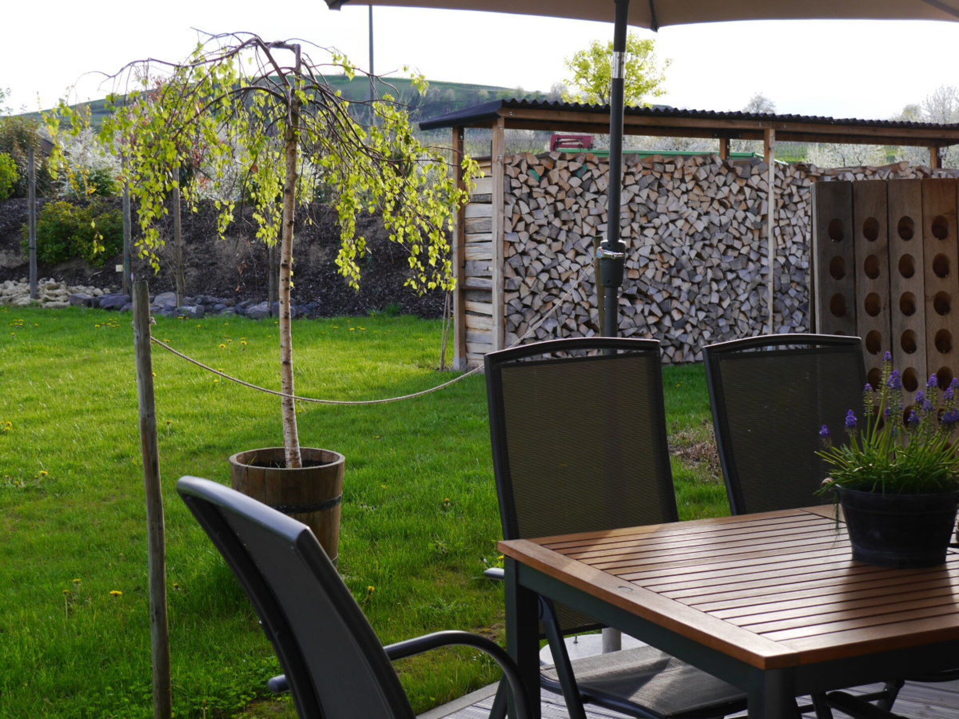 Ruim vakantiehuis met overdekt terras in Sasbach-Leiselheim voor 7 personen - foto 3