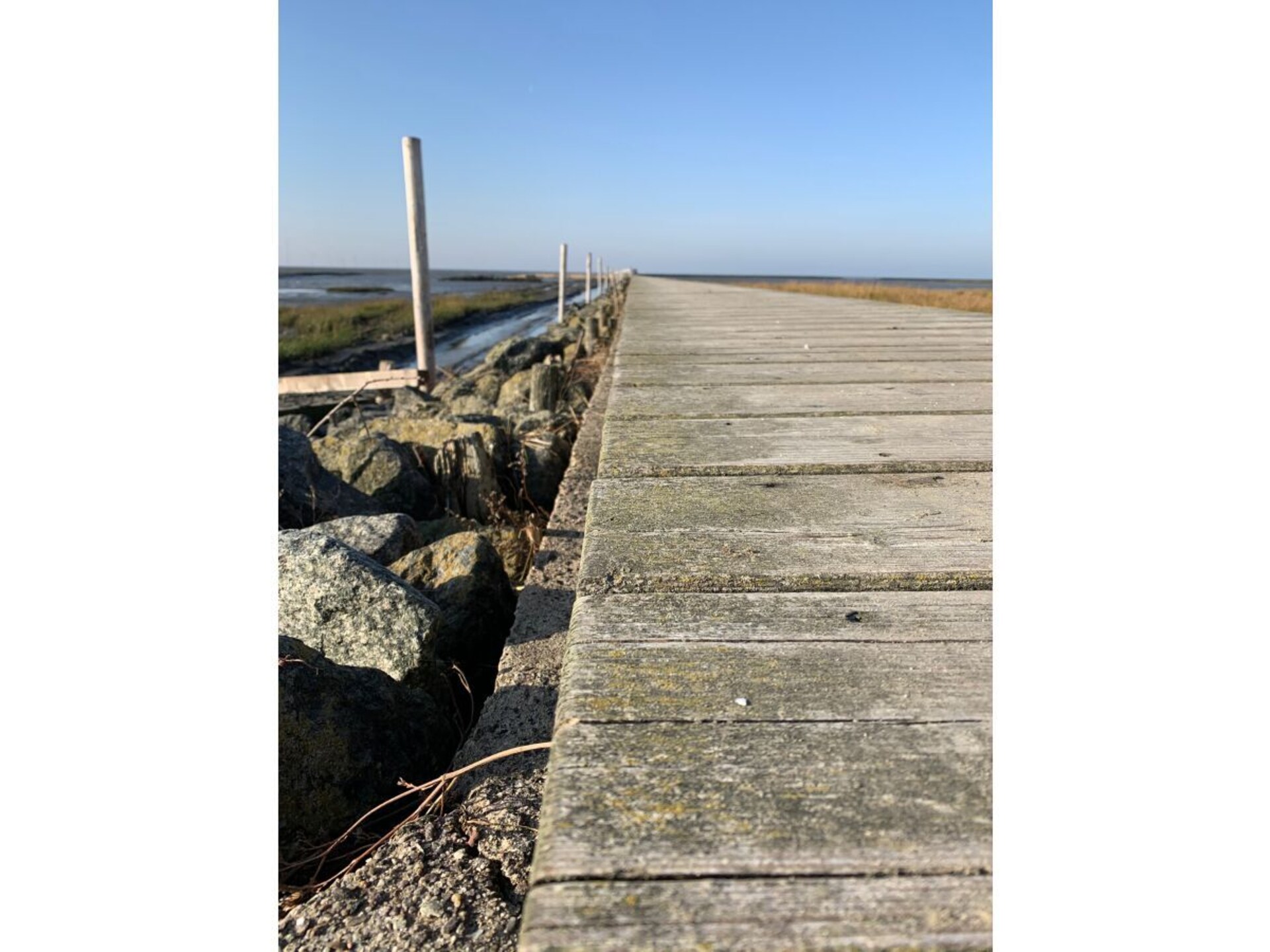 Ruim vakantiehuis met tuin & vuurplaats bij Cuxhaven - foto 12