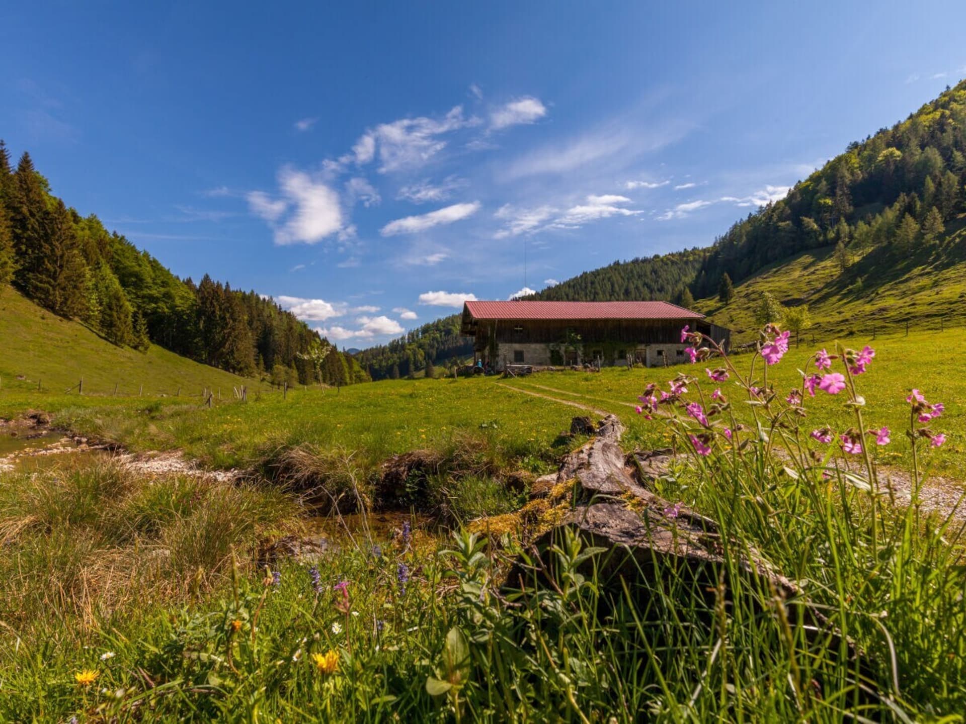 5-persoons vakantiehuis in Reit im Winkl nabij de piste - foto 31