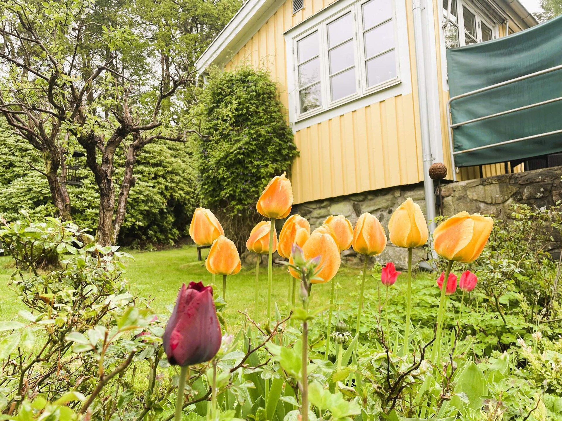 Knus geel vakantiehuisje aan de golfbaan bij Stenungsund - foto 6
