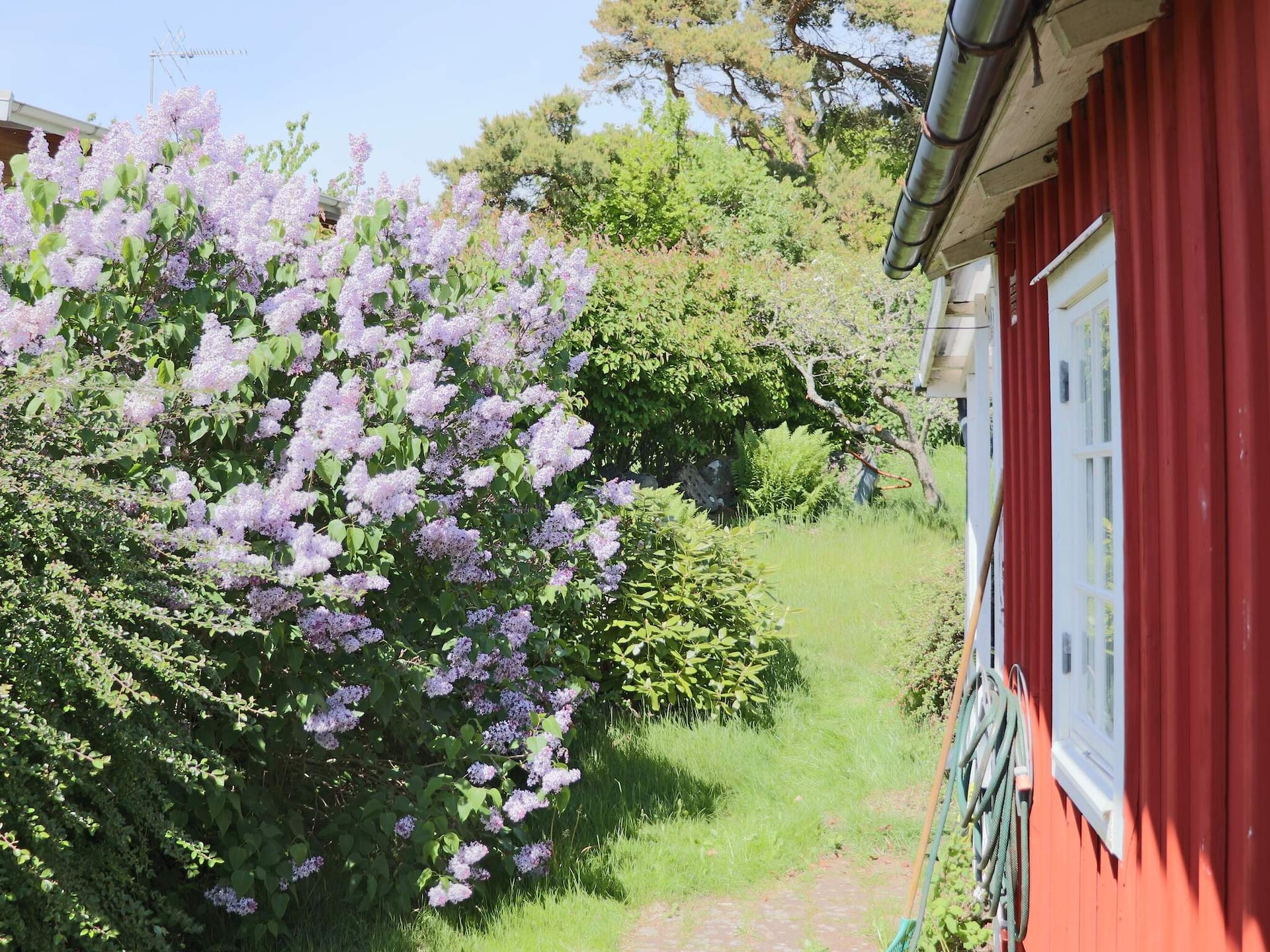 Sfeervol rood vakantiehuis nabij de kust in Falkenberg - foto 29