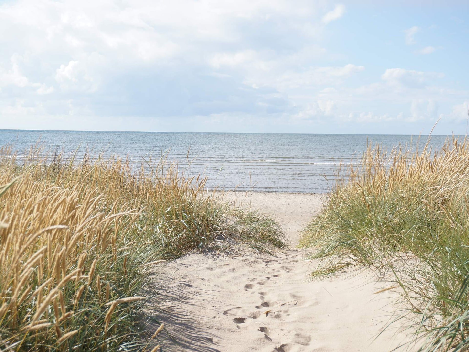 Sfeervol rood vakantiehuis nabij de kust in Falkenberg - foto 34