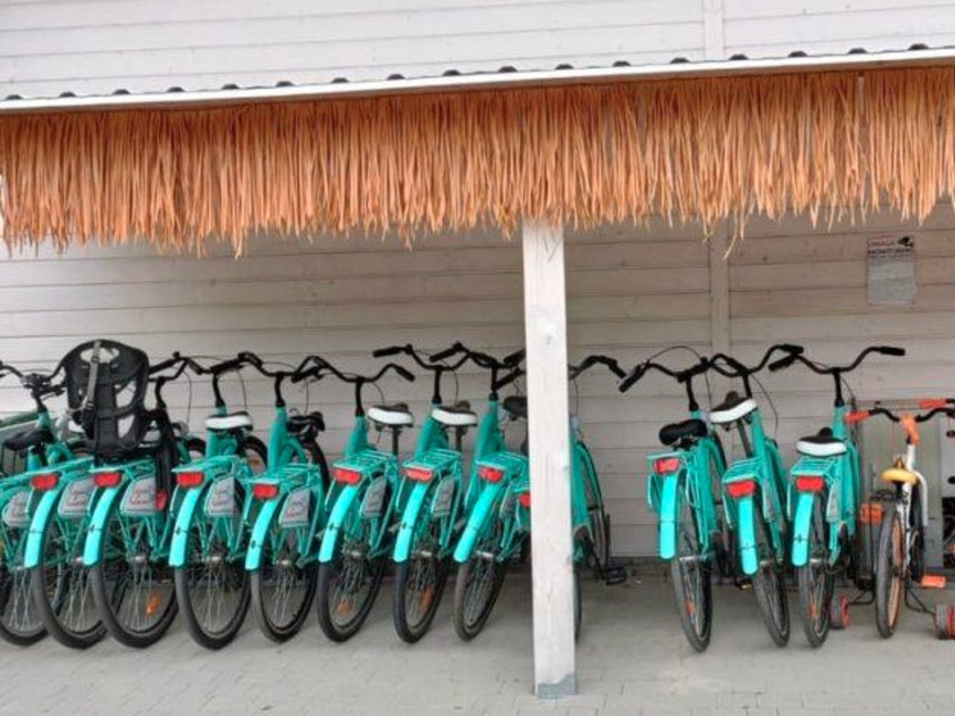 Modern vakantiehuis voor 5 personen met zwembad, op 200 meter van het strand in Kopań - foto 25