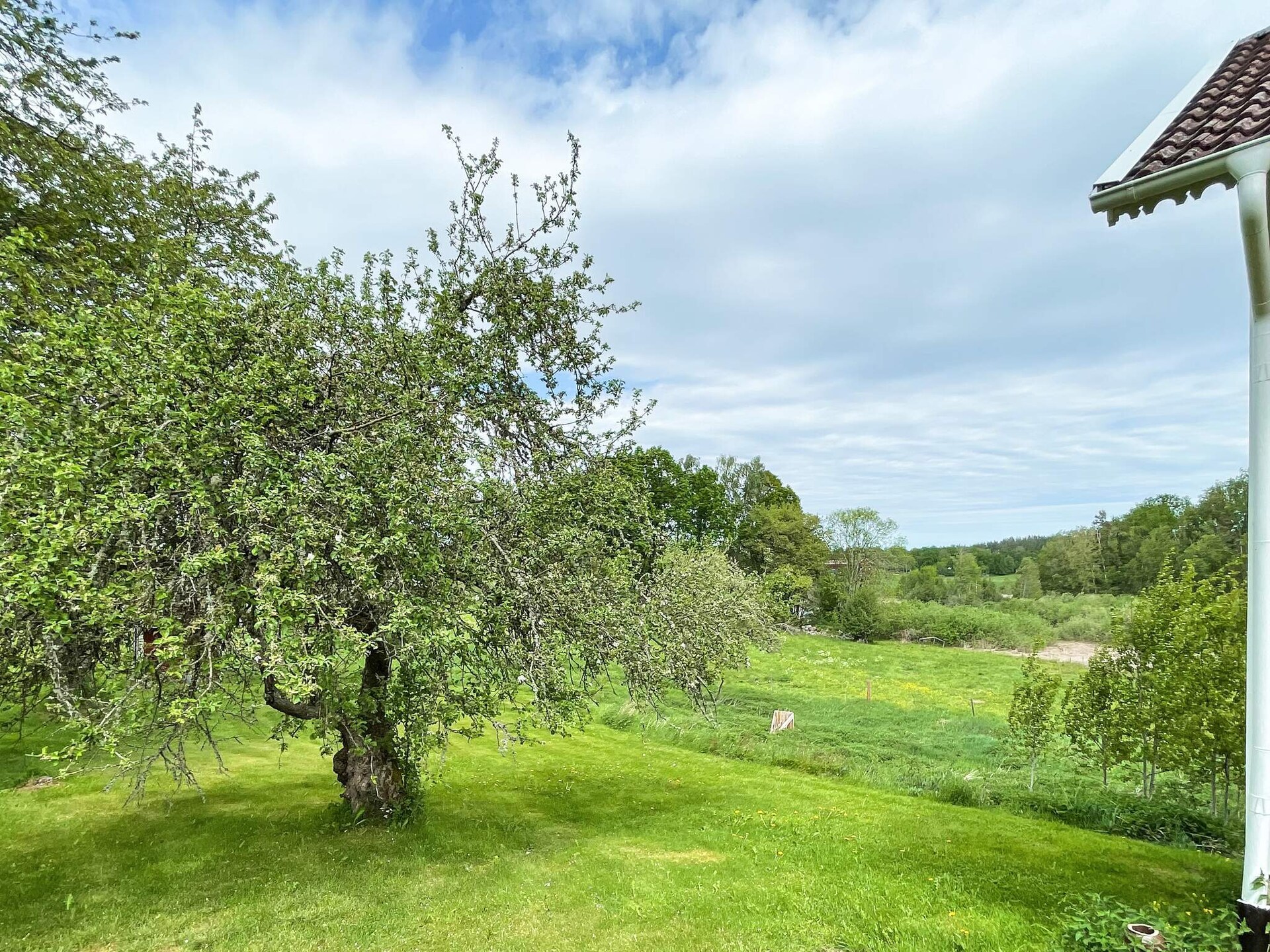 Idyllisch vakantiehuis bij het meer in Kristdala, Småland - foto 10