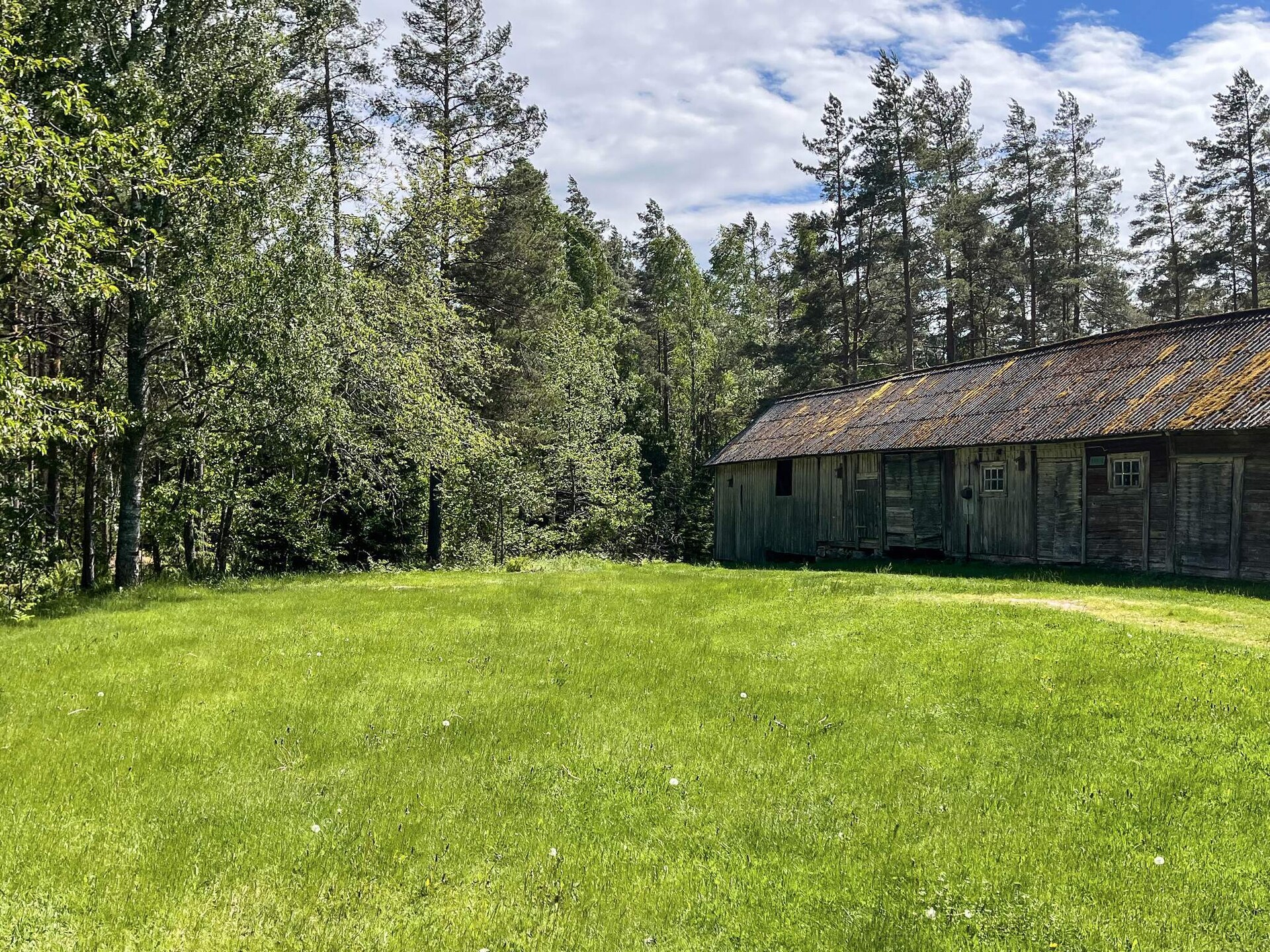 Vrijstaand vakantiehuis met sauna aan de golfbaan in Kristdala - foto 8