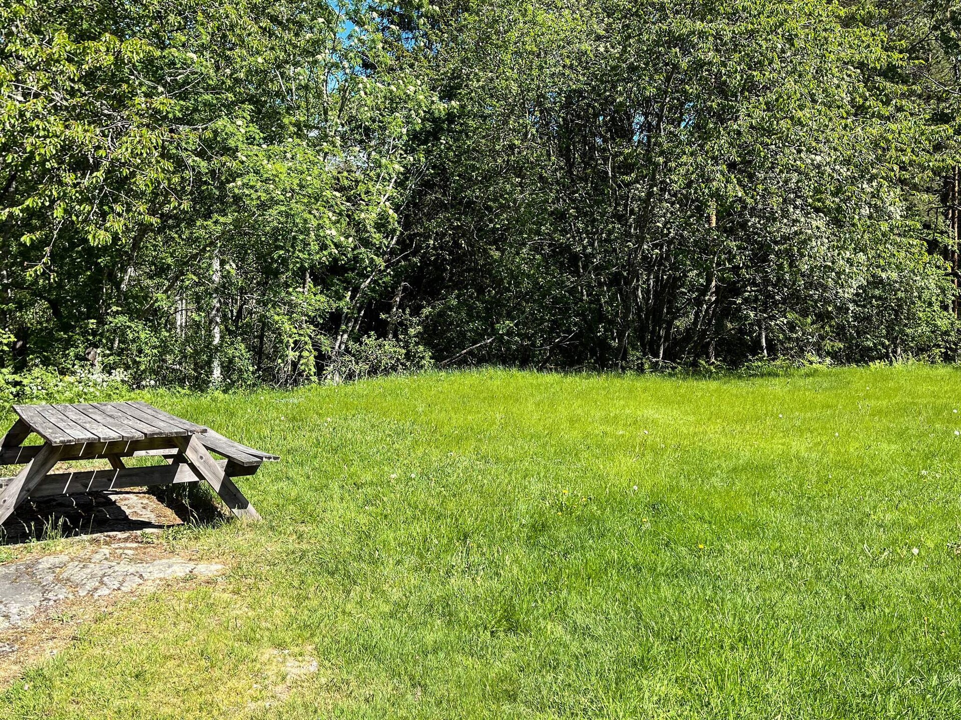 Vrijstaand vakantiehuis met sauna aan de golfbaan in Kristdala - foto 10
