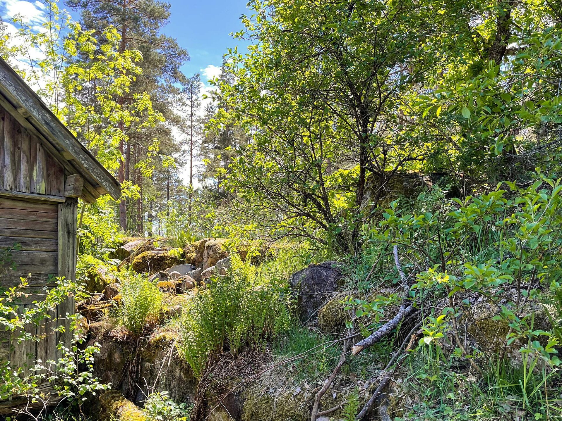Vrijstaand vakantiehuis met sauna aan de golfbaan in Kristdala - foto 11