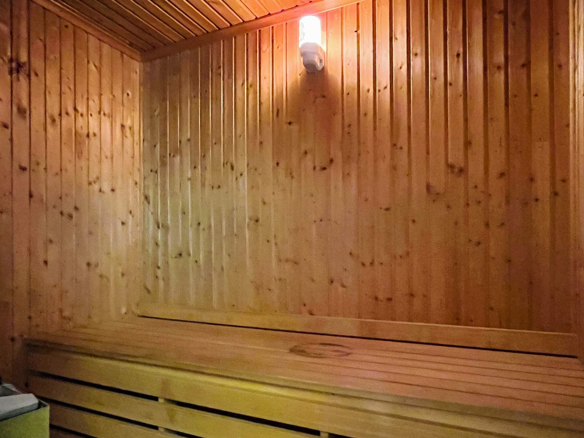 Vrijstaand vakantiehuis met sauna aan de golfbaan in Kristdala - foto 40