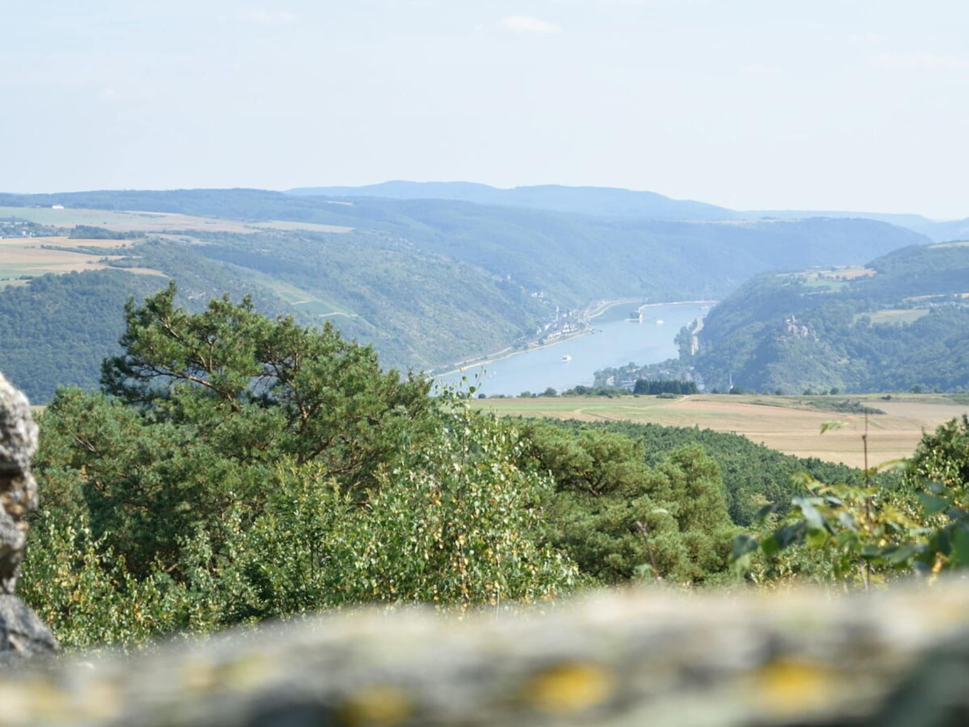 353020 - foto 34