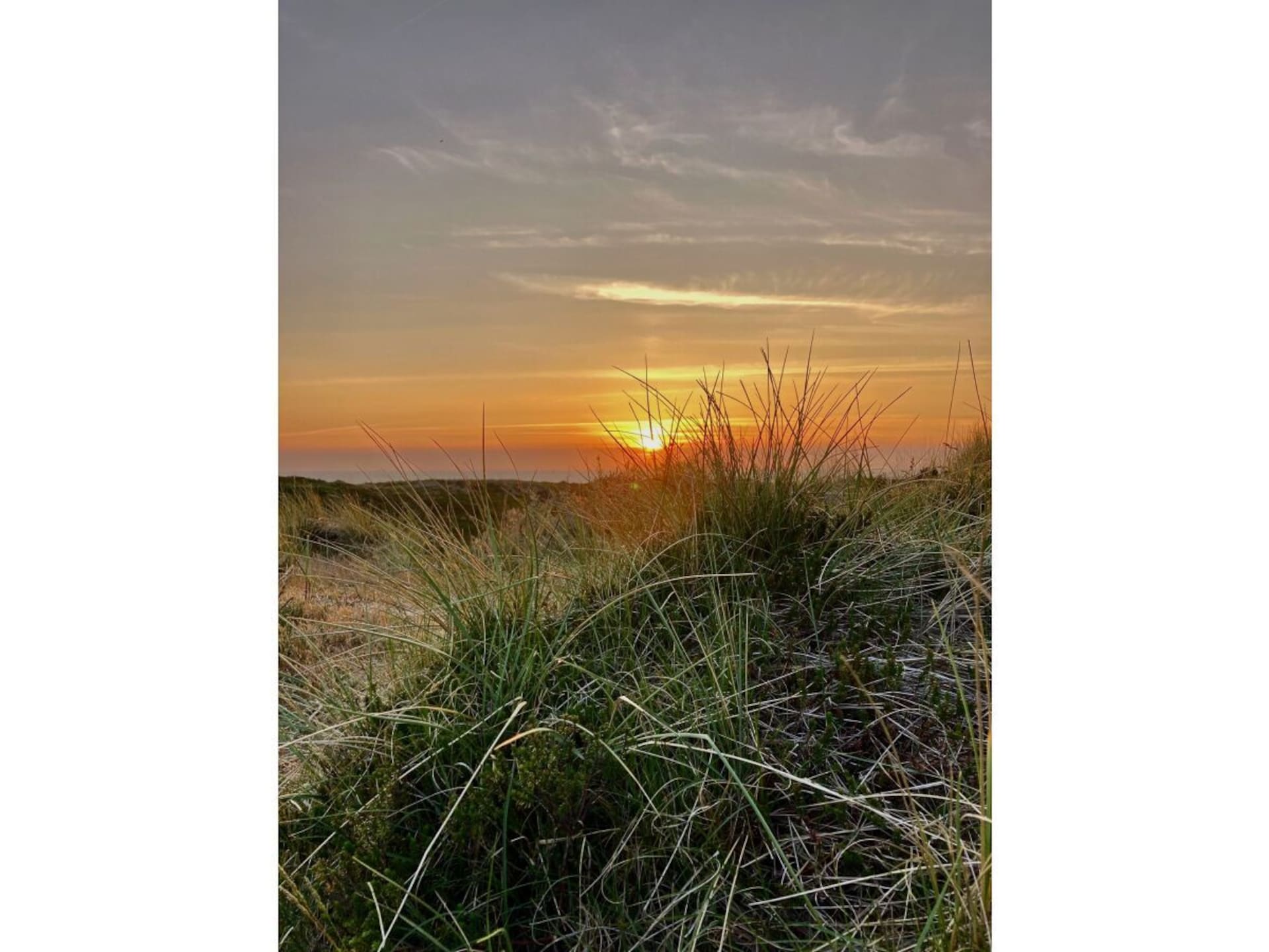 4-persoons vakantiehuis in Rantum op Sylt met uitzicht op de Waddenzee - foto 3