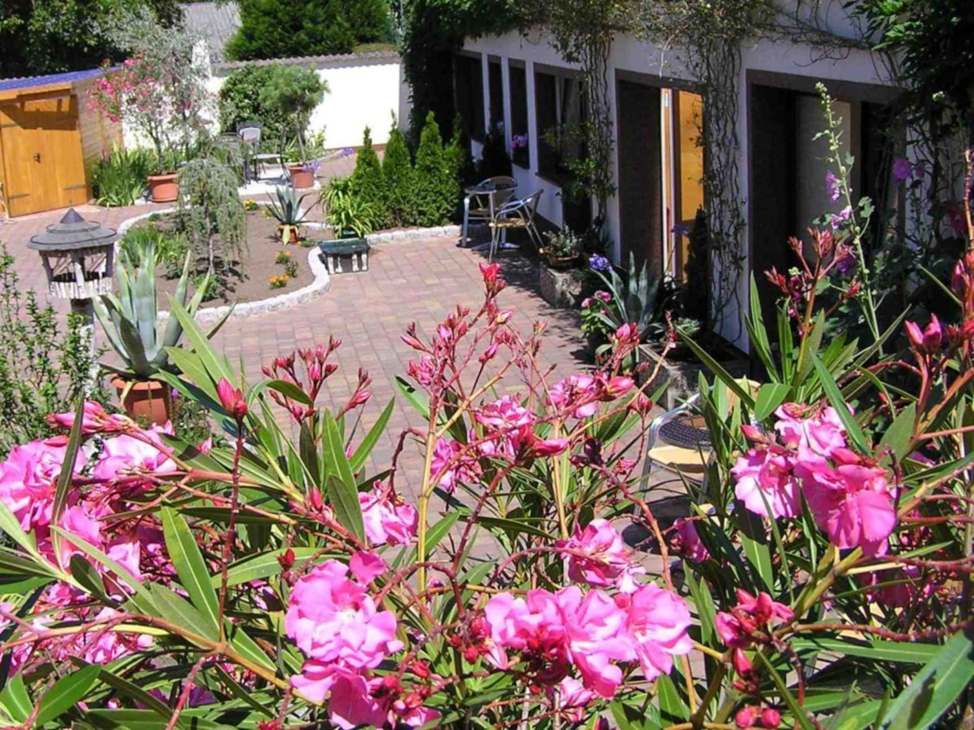 Op 800m van het centrum: Modern vakantiehuis in Ostseebad Heringsdorf - foto 6